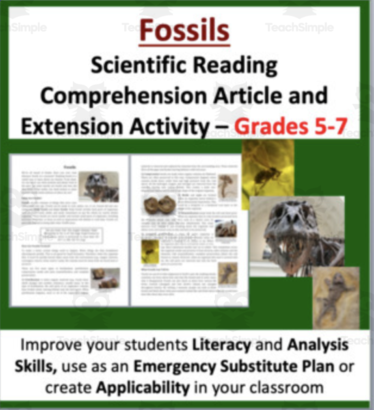 An educational teaching resource from Teach With Fergy entitled Fossils - Scientific Reading Comprehension Article – Grades 5-7 downloadable at Teach Simple.