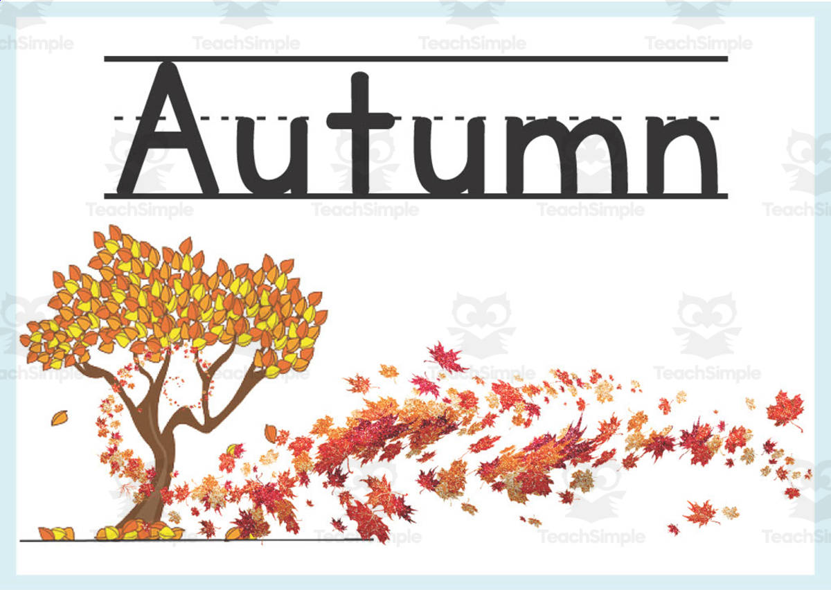 An educational teaching resource from Ezee 101 entitled Four Seasons of the Year | Colorful Classroom Decor downloadable at Teach Simple.
