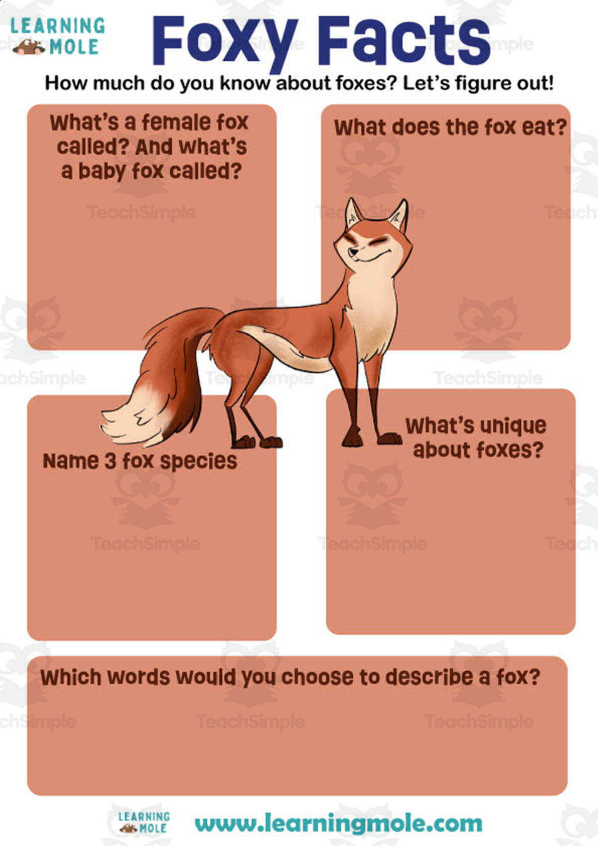 An educational teaching resource from Educational Voice entitled Fox Activity downloadable at Teach Simple.