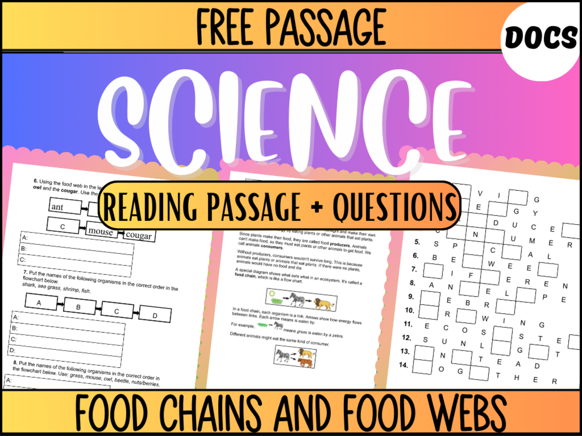 An educational teaching resource from Cored Education entitled Free Reading Passage: Food Chains and Food Webs (Google Docs) downloadable at Teach Simple.