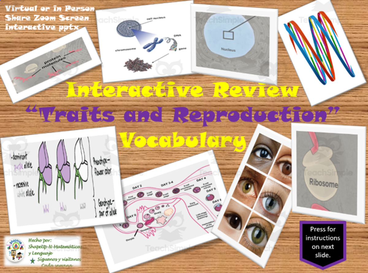 An educational teaching resource from ShapeUp-N-Matematicas y Lenguaje entitled Free Science - Traits and Reproduction Interactive Vocabulary Activity downloadable at Teach Simple.