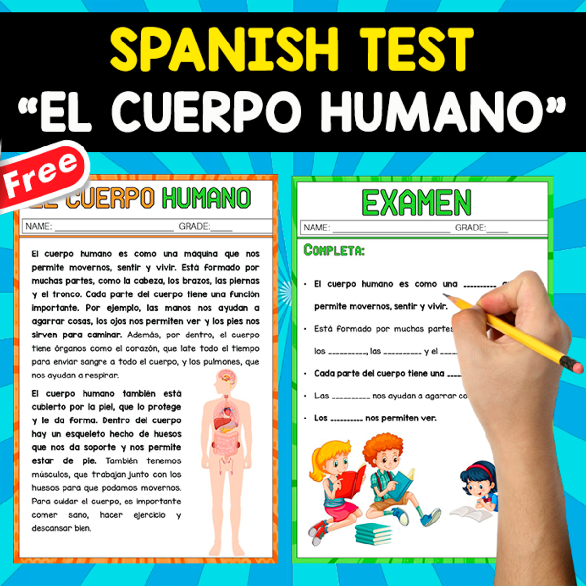 An educational teaching resource from EDITORIAL LAURA EDUCA entitled FREE SPANISH TEST | EL CUERPO HUMANO downloadable at Teach Simple.