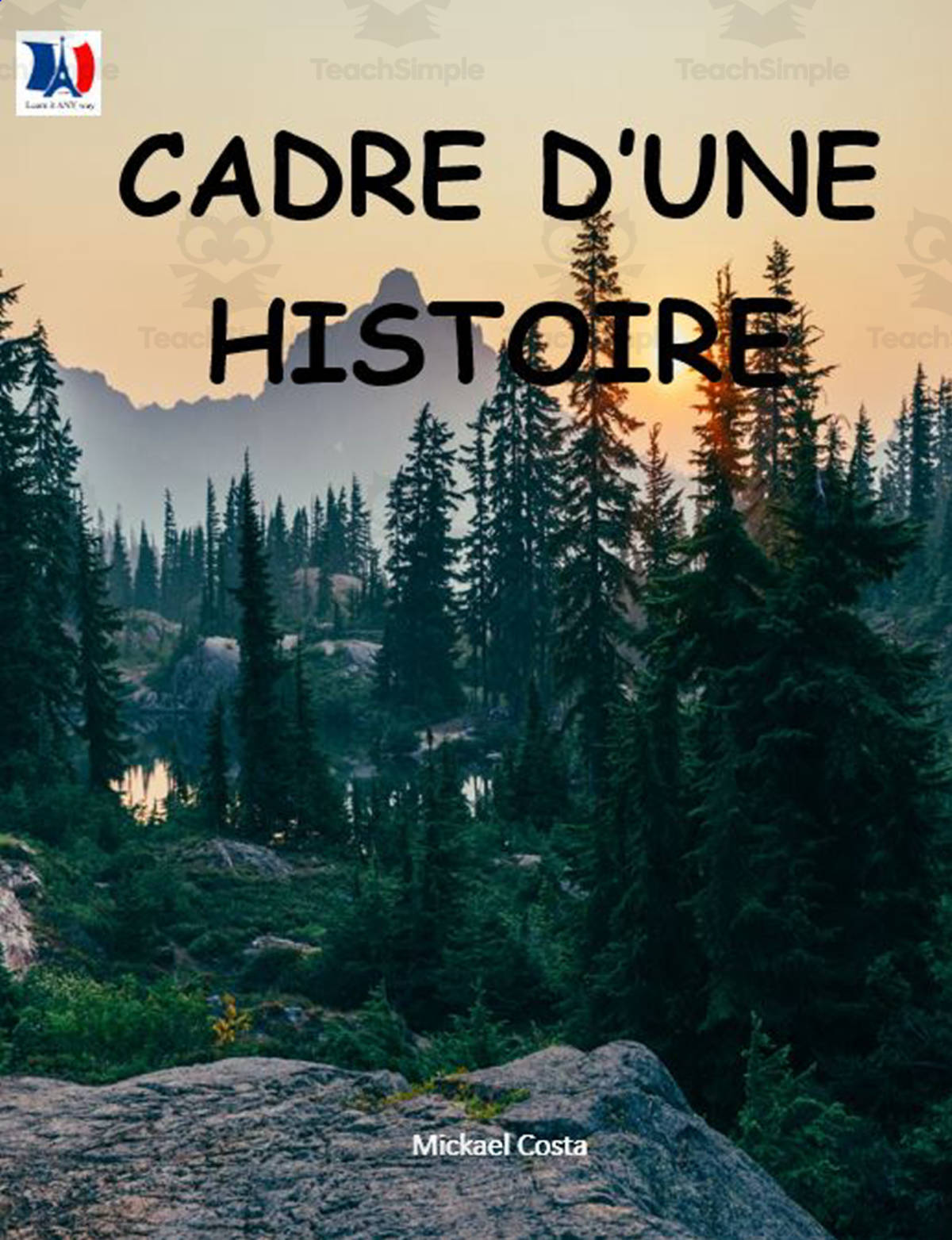 An educational teaching resource from Learn it ANY way entitled French: Cadre d'une histoire downloadable at Teach Simple.