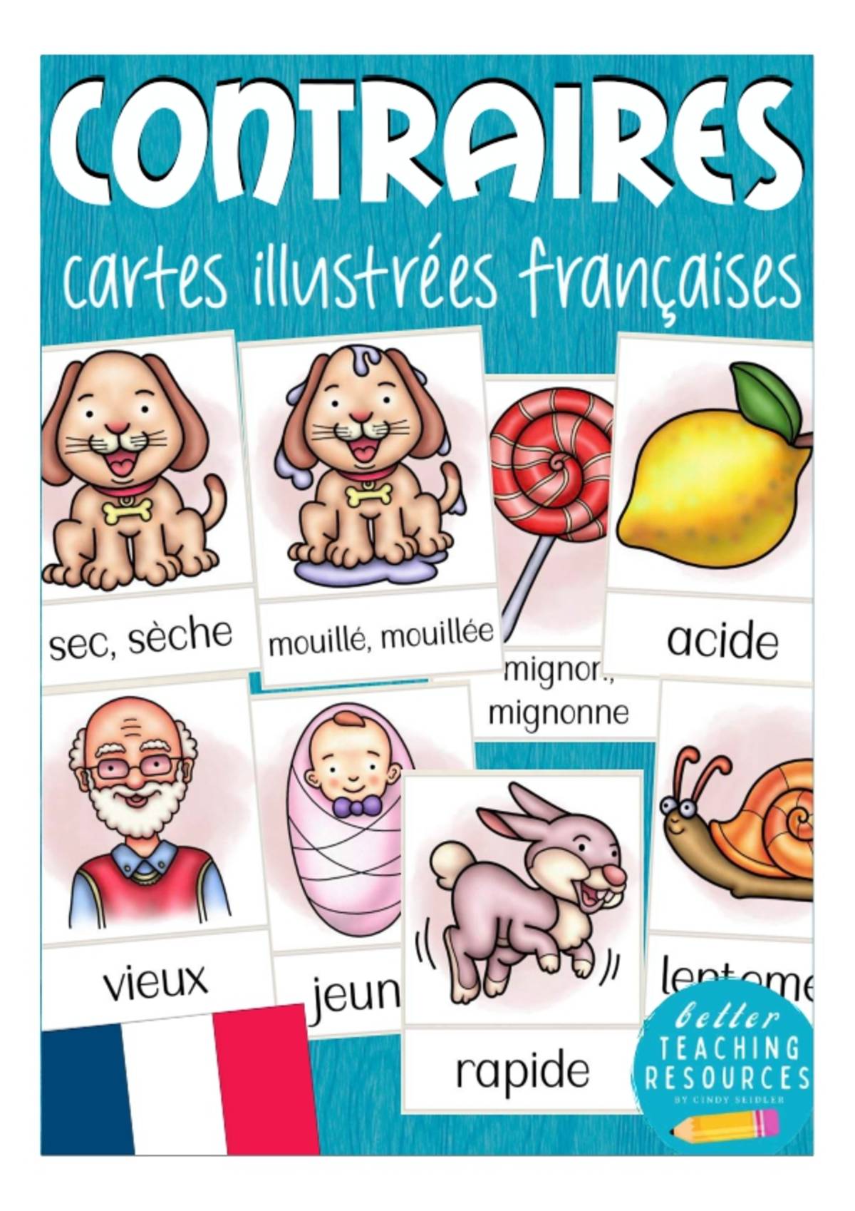 An educational teaching resource from Better Teaching Resources entitled French Flash Cards: Contraires / Opposites downloadable at Teach Simple.