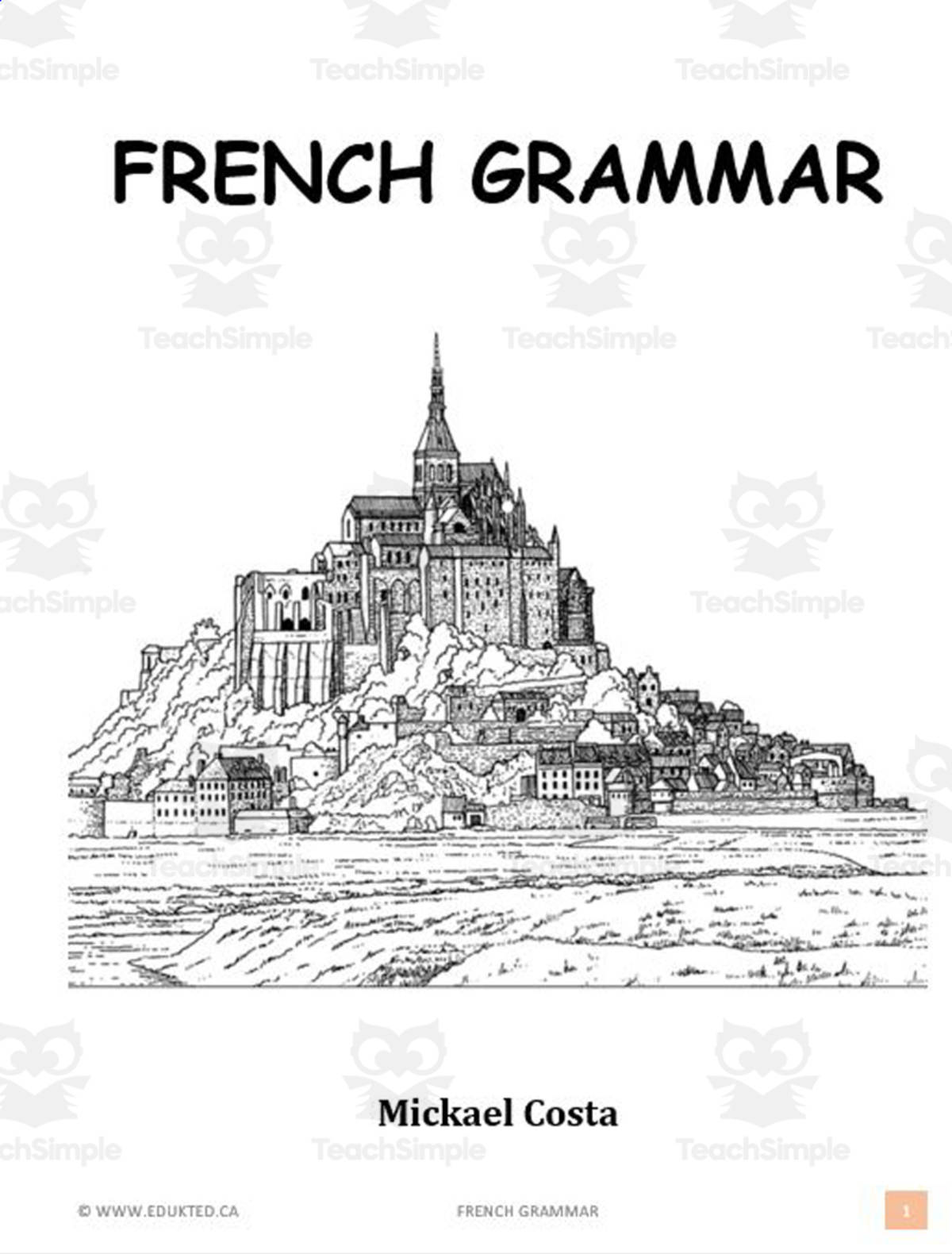 An educational teaching resource from Learn it ANY way entitled French grammar downloadable at Teach Simple.