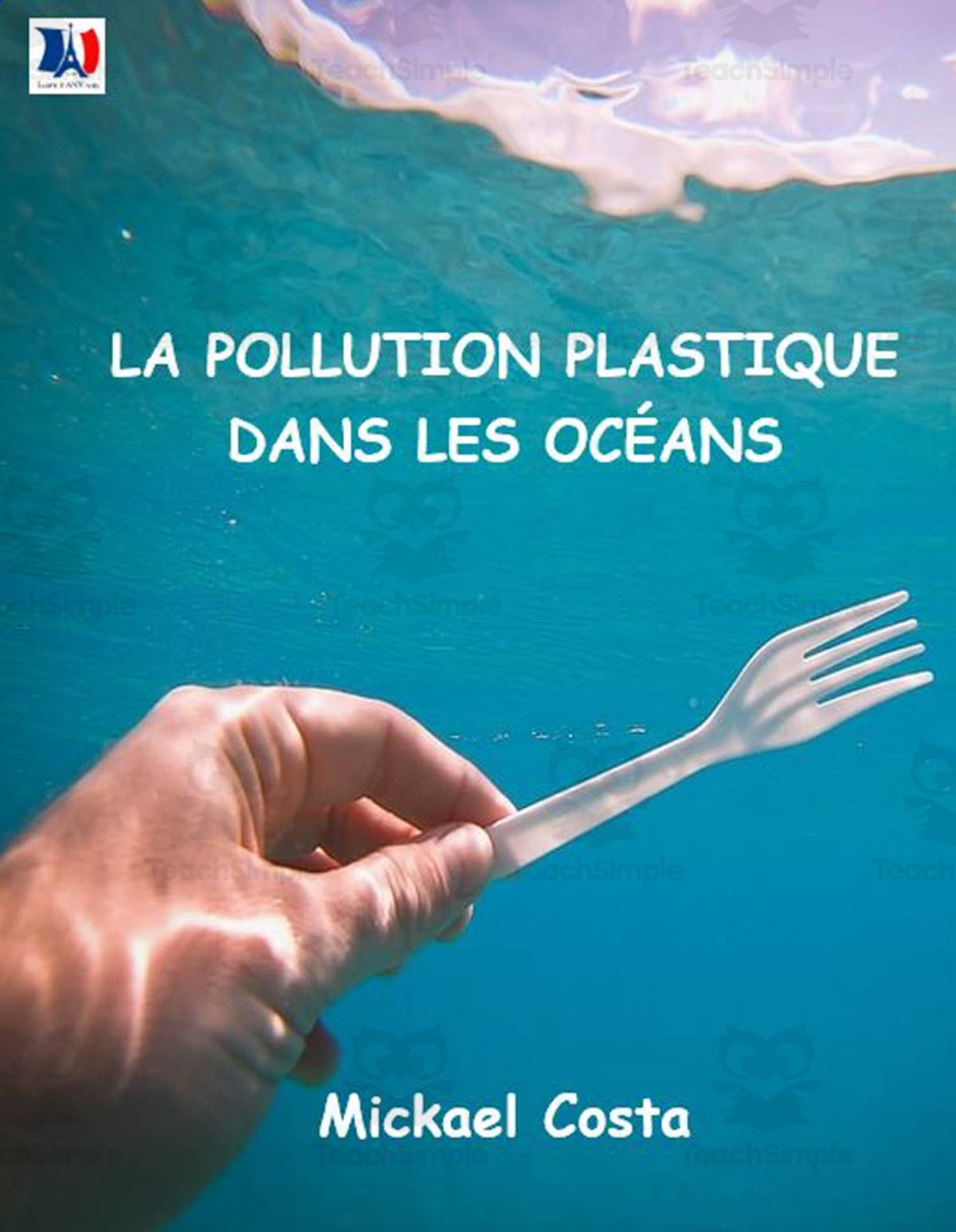 An educational teaching resource from Learn it ANY way entitled French: La pollution plastique des océans downloadable at Teach Simple.