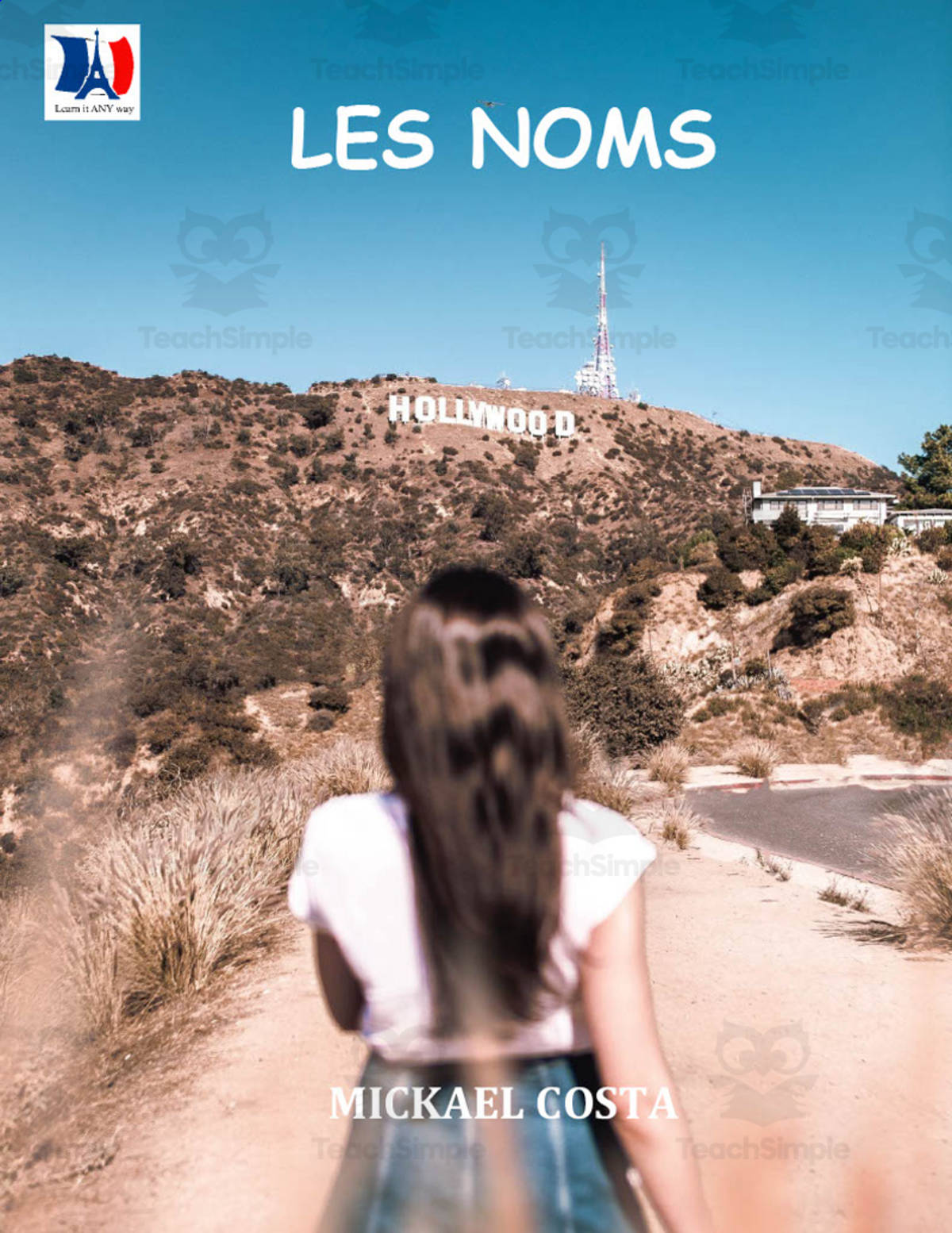 An educational teaching resource from Learn it ANY way entitled French: Nouns, Writing + Grammar Activity Book downloadable at Teach Simple.