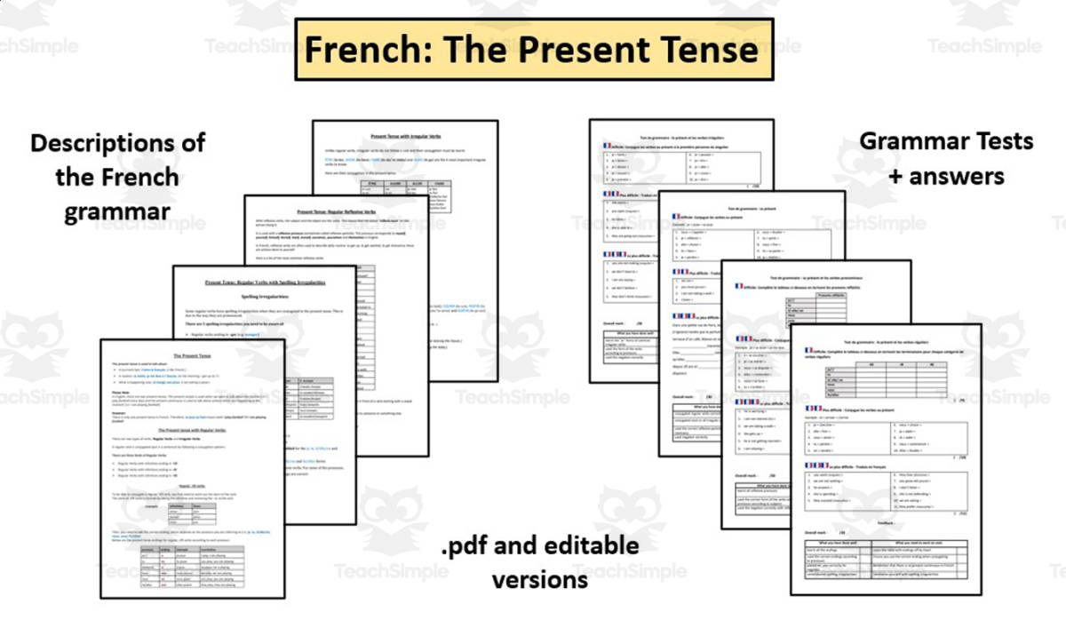 An educational teaching resource from Laprofdefrancais' Shop entitled French- Present Tense- Descriptions and Tests downloadable at Teach Simple.
