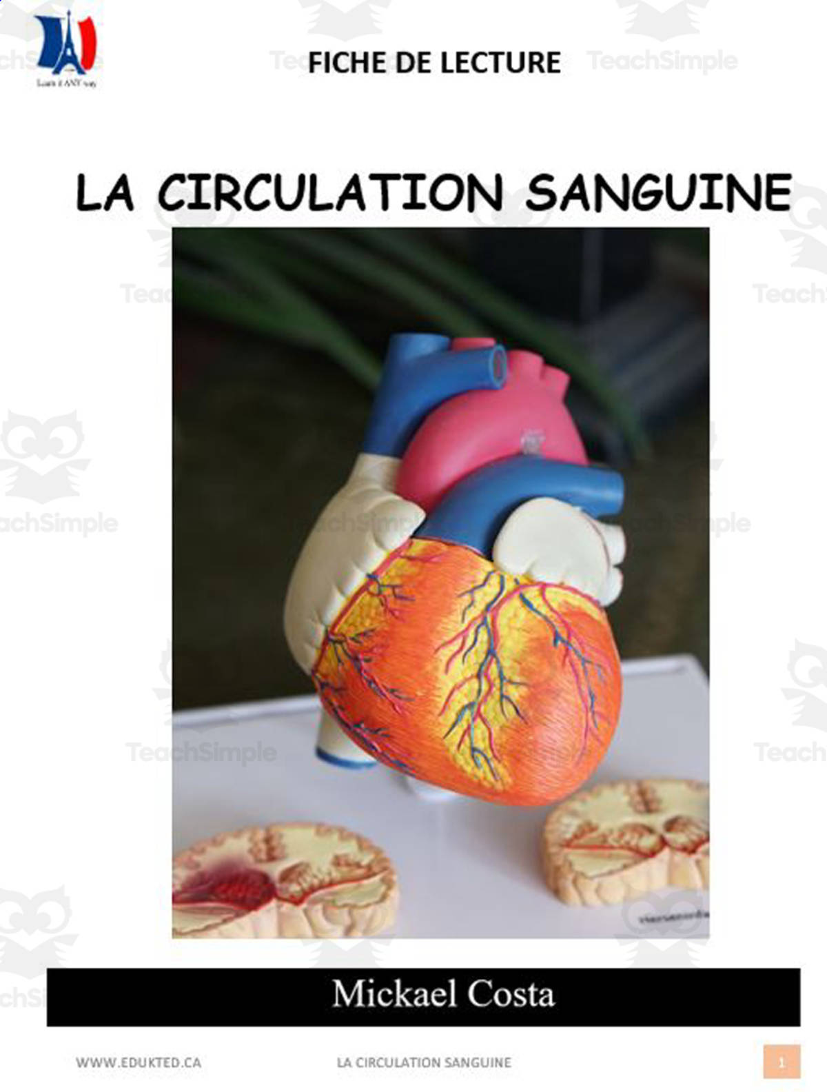 An educational teaching resource from Learn it ANY way entitled French: Reading comprehension worksheets: La circulation sanguine downloadable at Teach Simple.