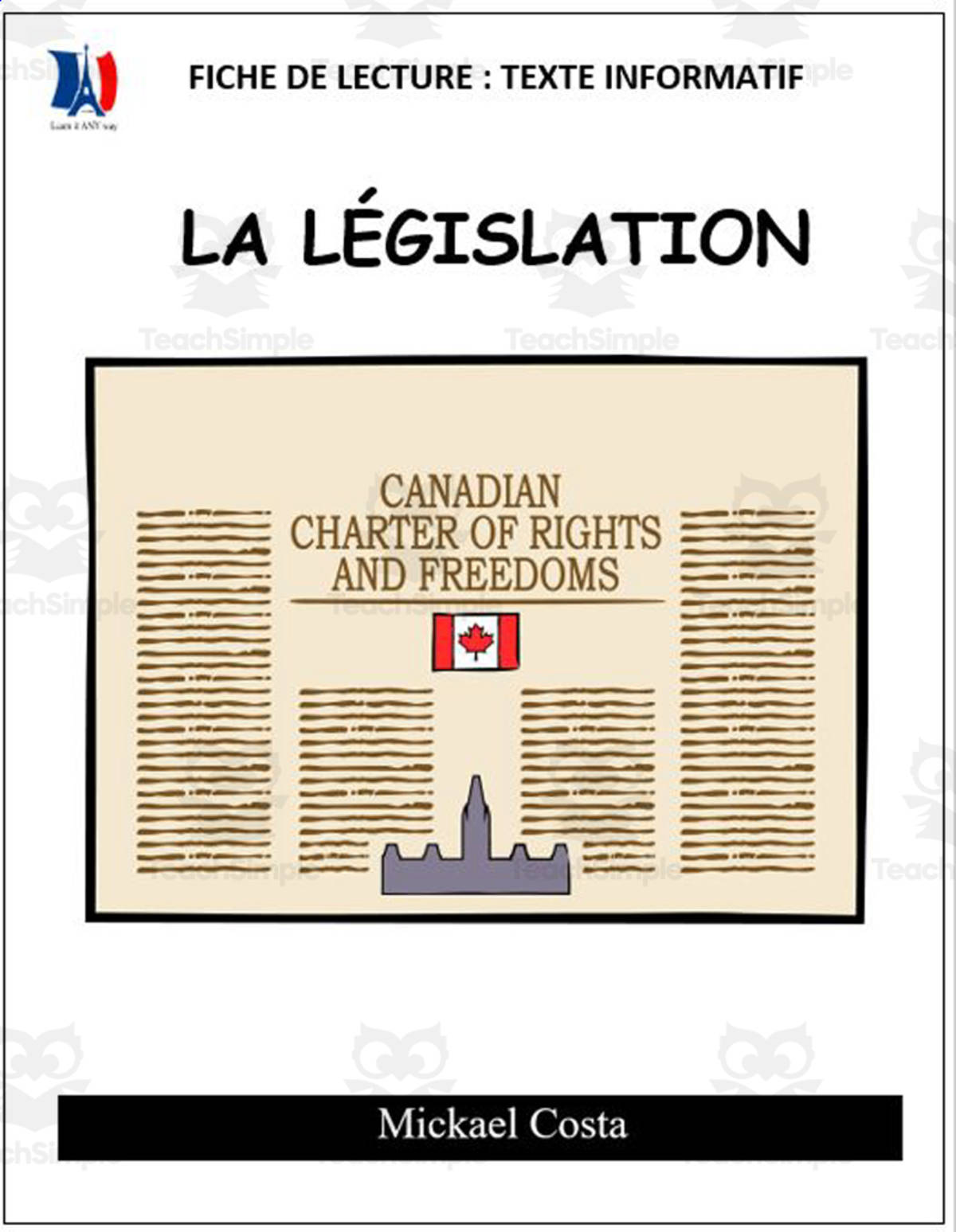An educational teaching resource from Learn it ANY way entitled French: Reading comprehension worksheets: la législation downloadable at Teach Simple.
