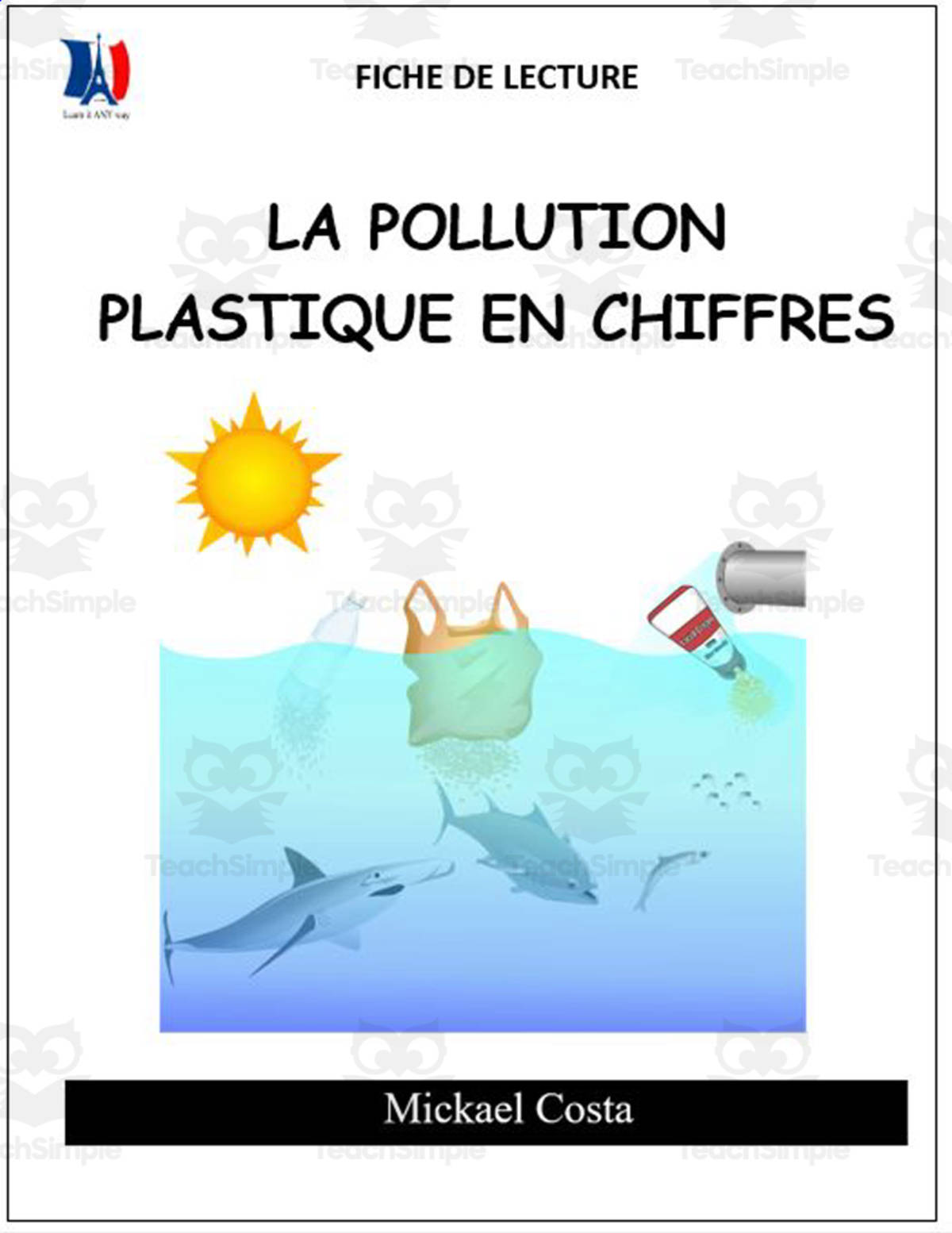 An educational teaching resource from Learn it ANY way entitled French: Reading comprehension worksheets: La pollution plastique en chiffres downloadable at Teach Simple.