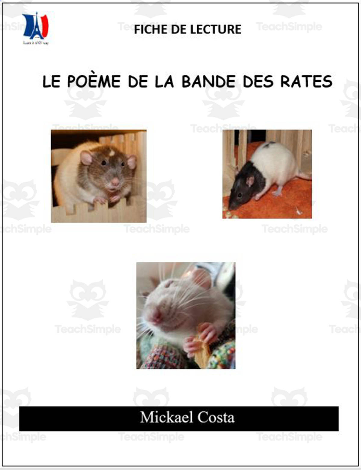 An educational teaching resource from Learn it ANY way entitled French: reading comprehension worksheets: Le poème de la bande des rates downloadable at Teach Simple.