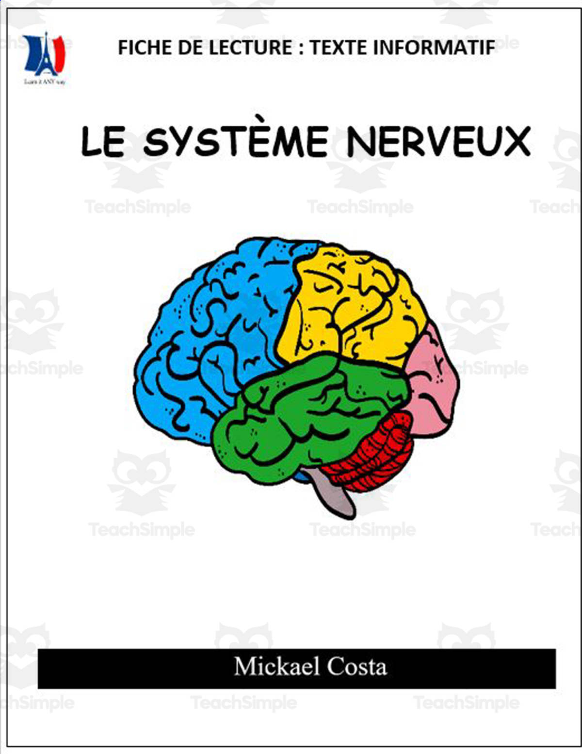 An educational teaching resource from Learn it ANY way entitled French: Reading comprehension worksheets: Le système nerveux downloadable at Teach Simple.