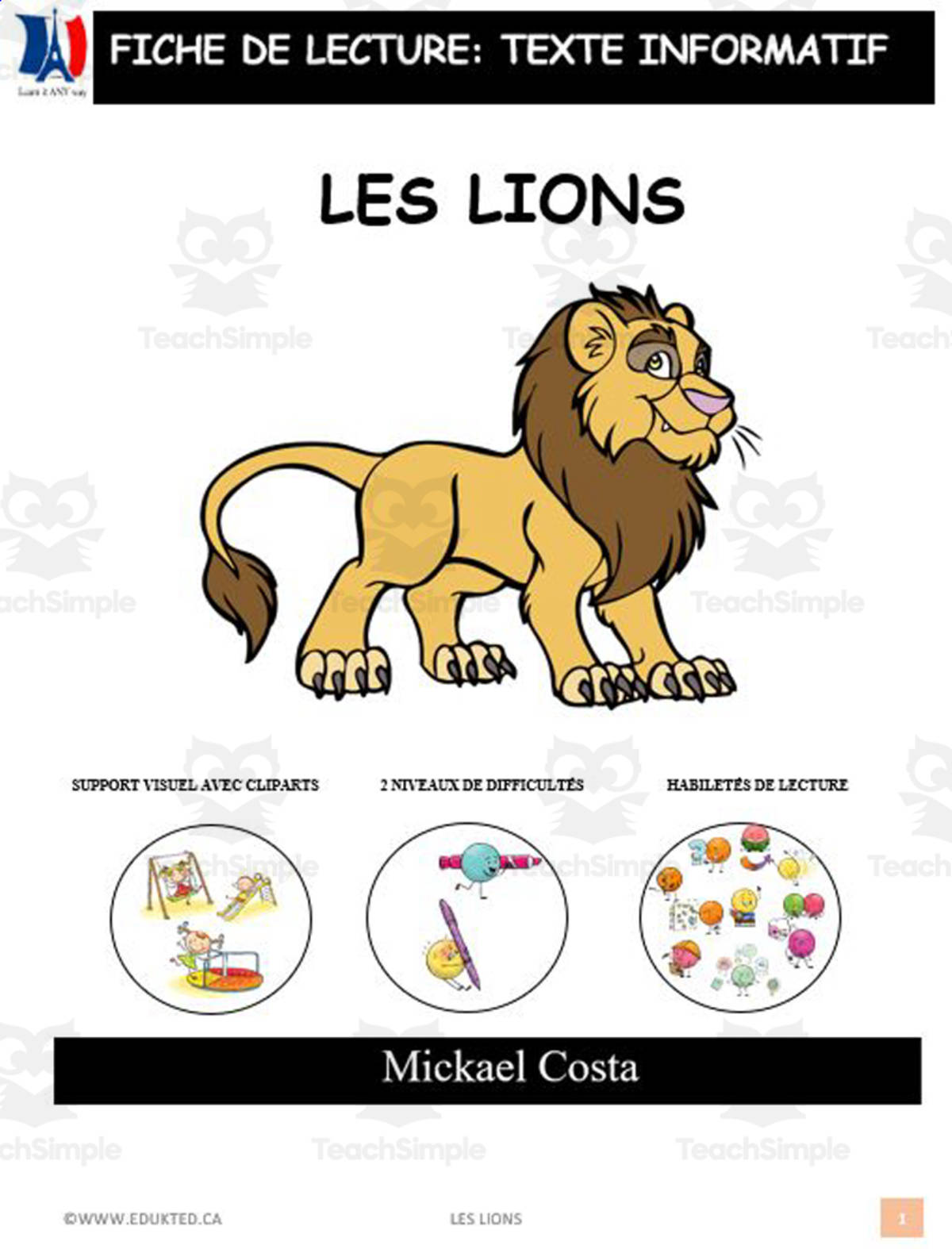 An educational teaching resource from Learn it ANY way entitled French: Reading comprehension worksheets: Les lions downloadable at Teach Simple.