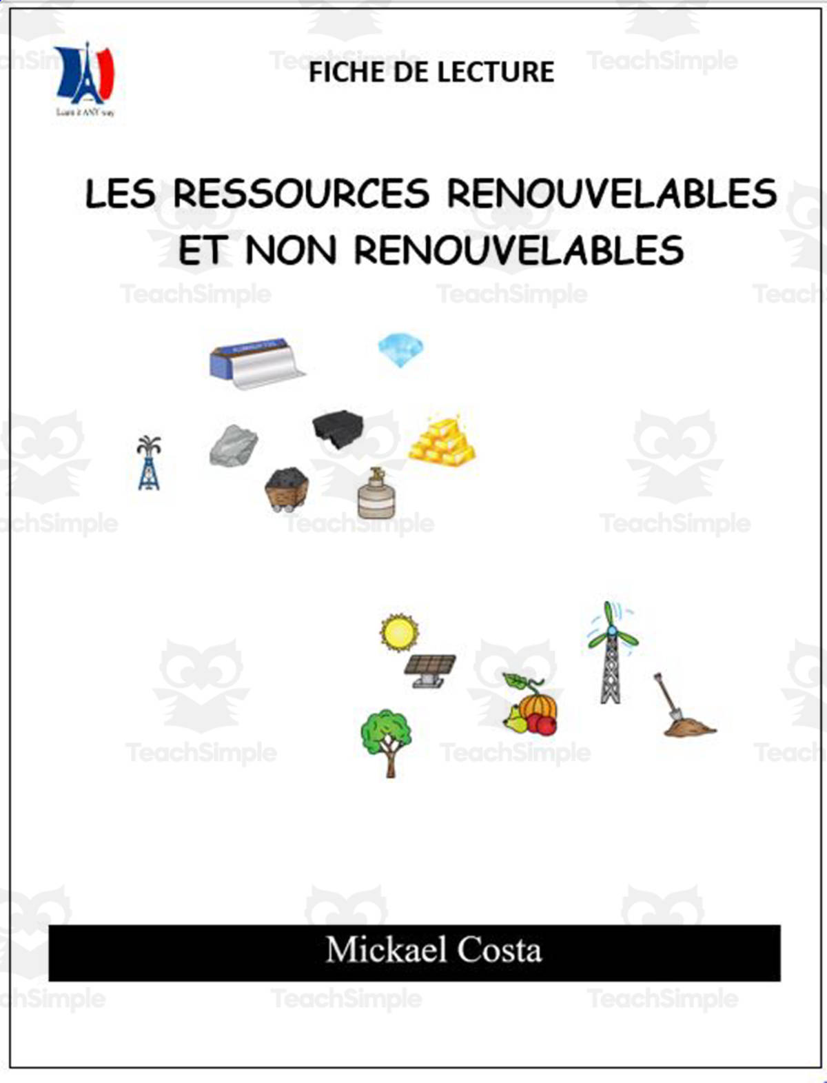 An educational teaching resource from Learn it ANY way entitled French: Reading comprehension worksheets: Les ressources renouvelables et non renouvelables downloadable at Teach Simple.