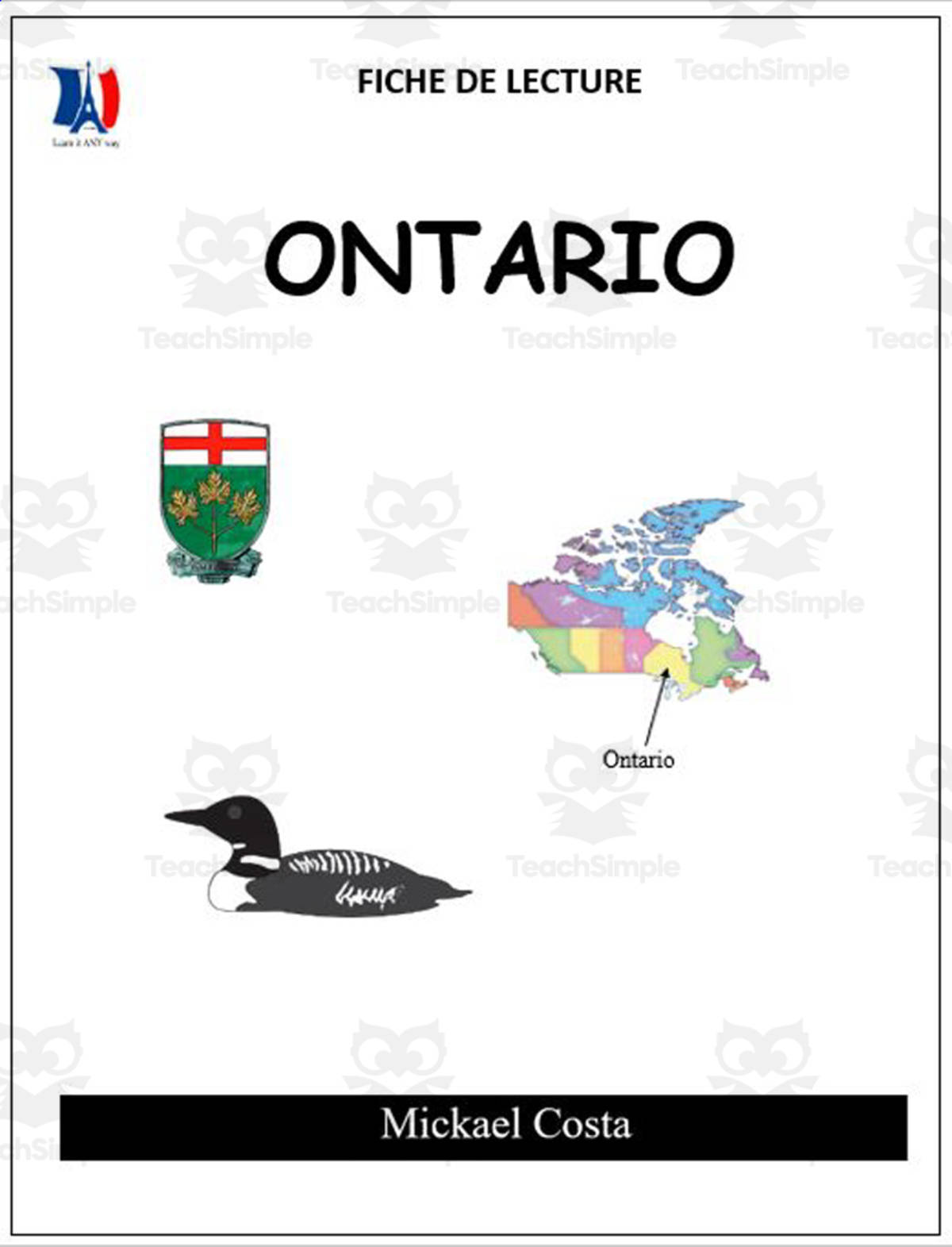 An educational teaching resource from Learn it ANY way entitled French: Reading comprehension worksheets: Ontario downloadable at Teach Simple.