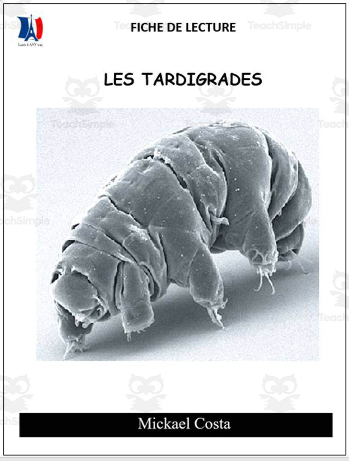 An educational teaching resource from Learn it ANY way entitled French: Reading comprehension worksheets:  Tardigrade downloadable at Teach Simple.