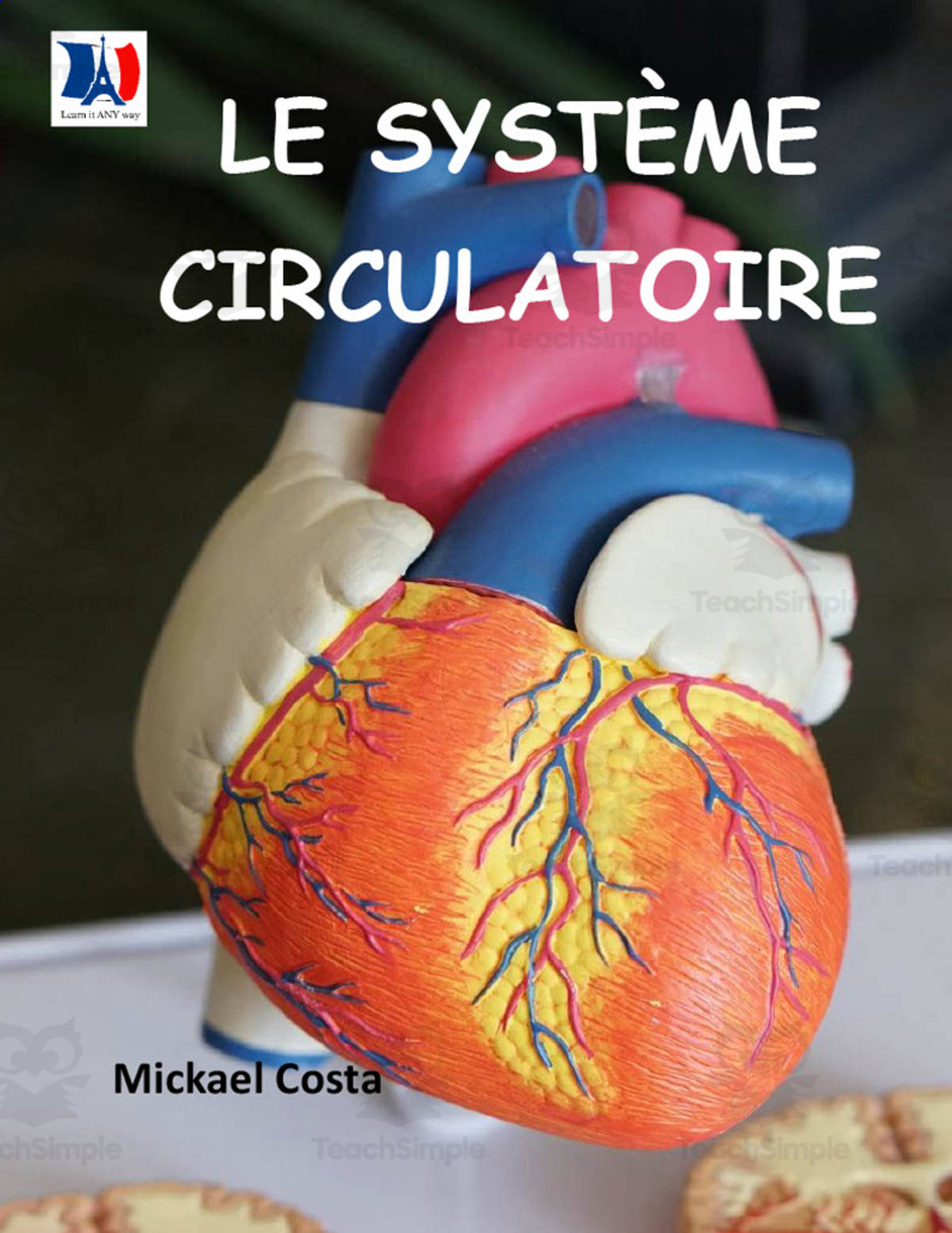 An educational teaching resource from Learn it ANY way entitled French: The Circulatory System Workbook downloadable at Teach Simple.