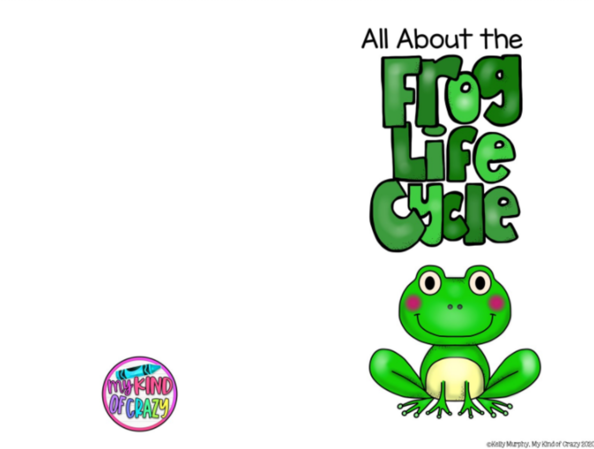 An educational teaching resource from My Kind of Crazy entitled Frog Life Cycle Adapted Book, Printable, Color and BW, Special Ed downloadable at Teach Simple.