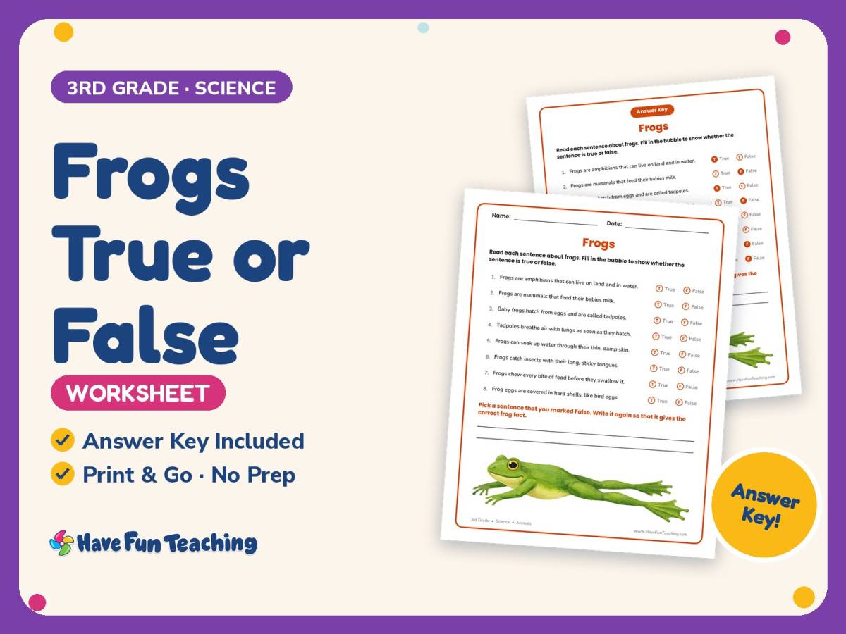 Frogs True or False Worksheet – 3rd Grade Animals Practice preview