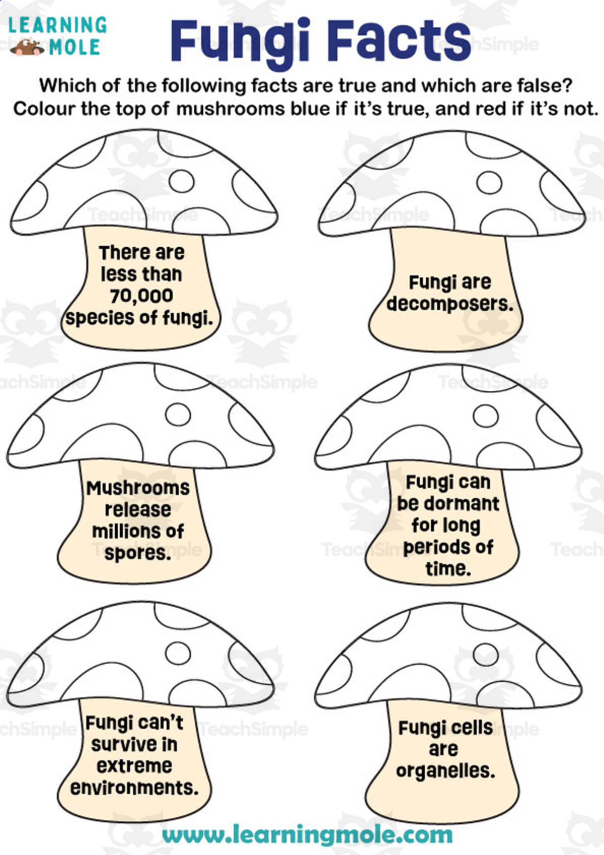 An educational teaching resource from Educational Voice entitled Fungi Facts Activity downloadable at Teach Simple.