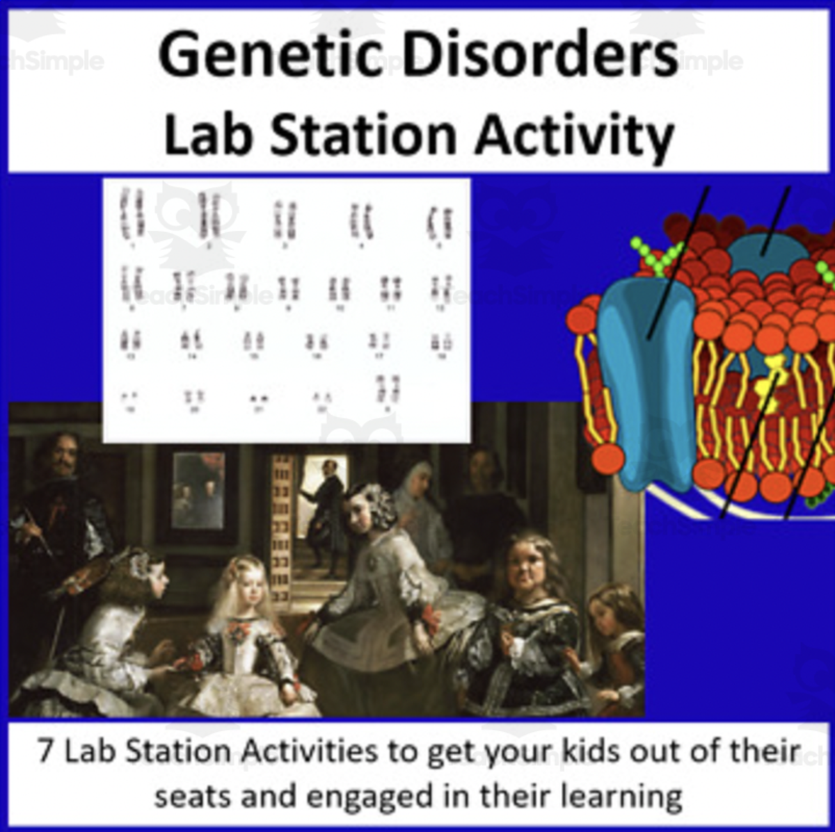 An educational teaching resource from Teach With Fergy entitled Genetic Disorders – Lab Station Activity downloadable at Teach Simple.