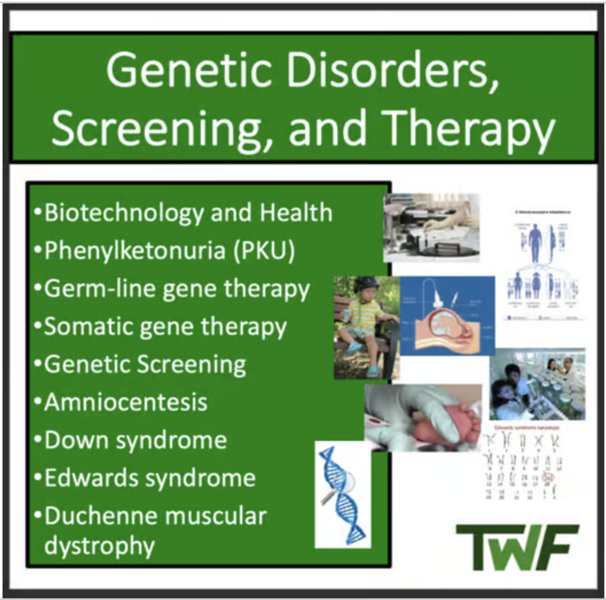 An educational teaching resource from Teach With Fergy entitled Genetic Disorders, Screening, & Therapy - Senior Biology lesson downloadable at Teach Simple.