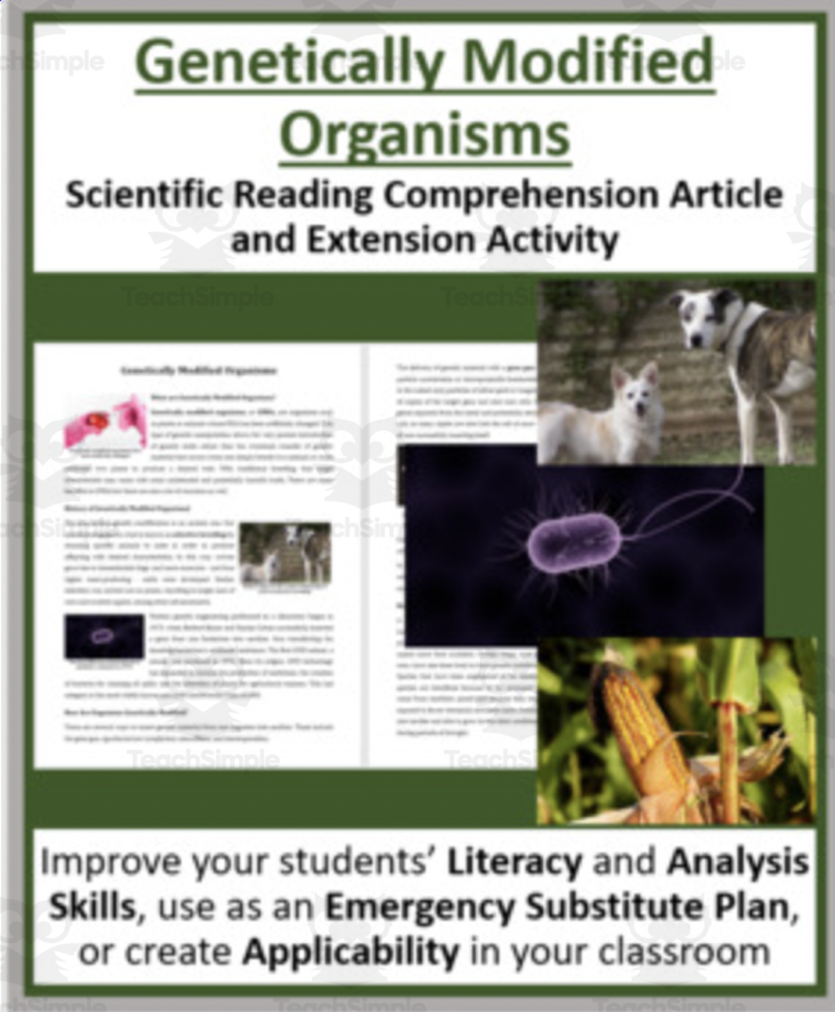 An educational teaching resource from Teach With Fergy entitled Genetically Modified Organisms Reading Comprehension Article downloadable at Teach Simple.