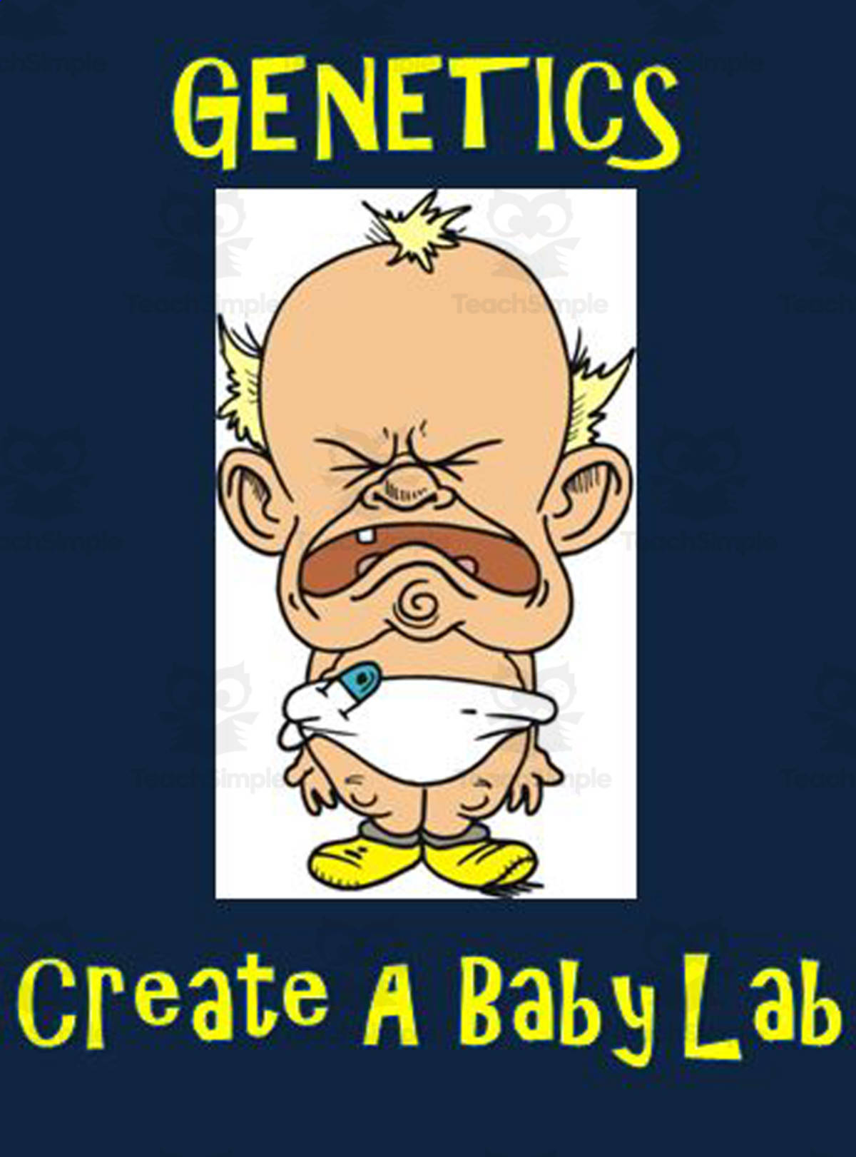 An educational teaching resource from The Teacher Team entitled Genetics ~ Create a Baby Lab downloadable at Teach Simple.