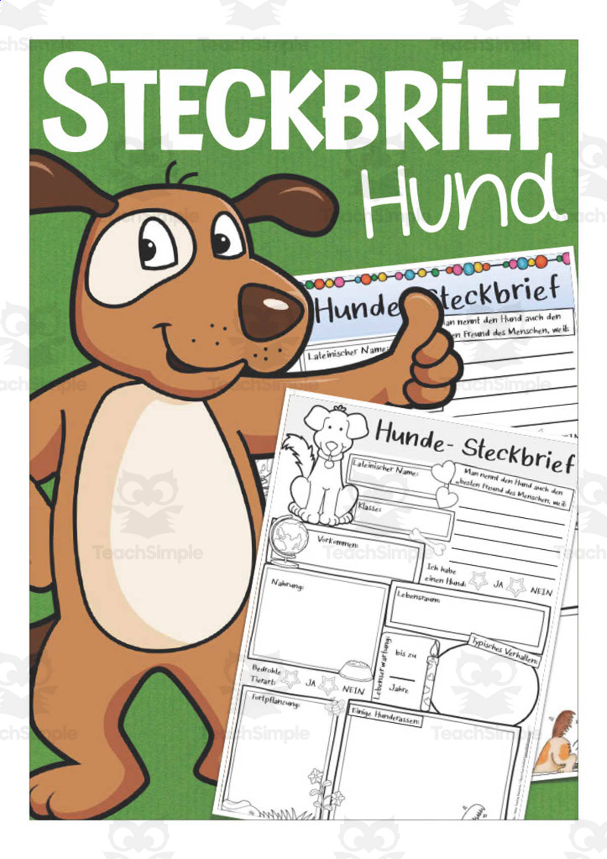 An educational teaching resource from Better Teaching Resources entitled German: Animal Characteristics Worksheet - Dog Printable downloadable at Teach Simple.