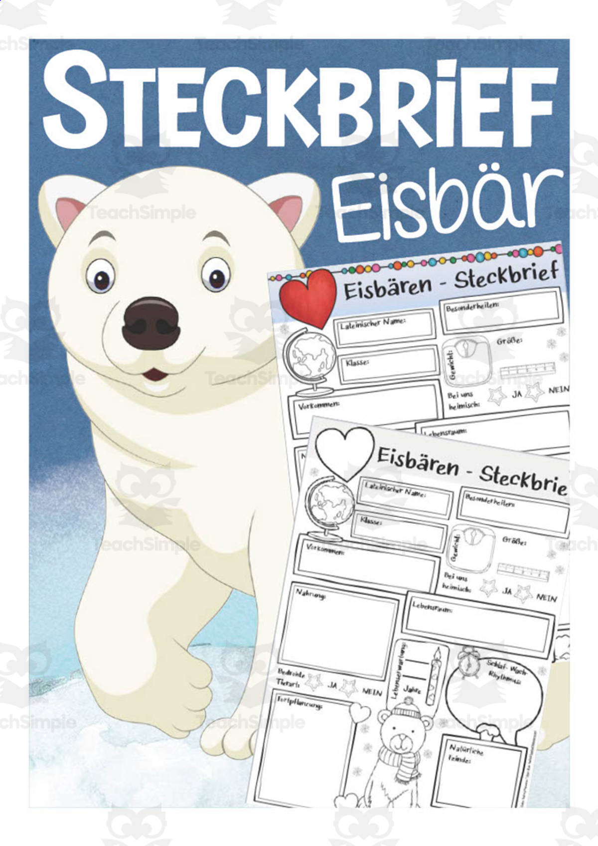 An educational teaching resource from Better Teaching Resources entitled German: Animal Characteristics Worksheet - Ice Bear Printable downloadable at Teach Simple.