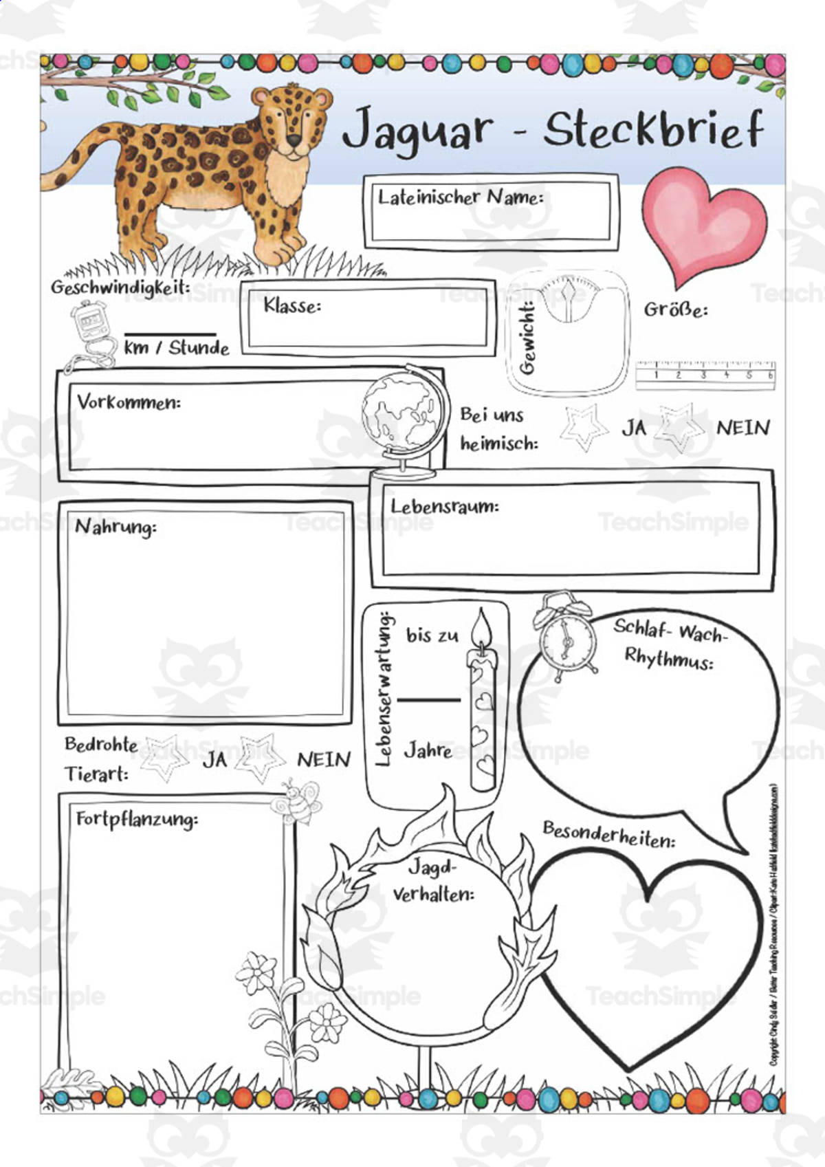 An educational teaching resource from Better Teaching Resources entitled German: Animal Characteristics Worksheet - Jaguar Printable downloadable at Teach Simple.