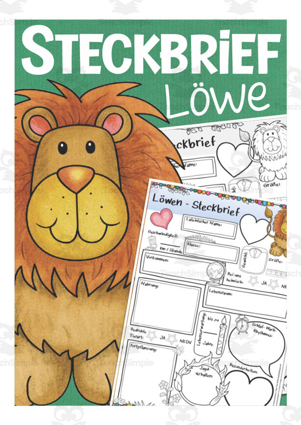 An educational teaching resource from Better Teaching Resources entitled German: Animal Characteristics Worksheet - Lion Printable downloadable at Teach Simple.