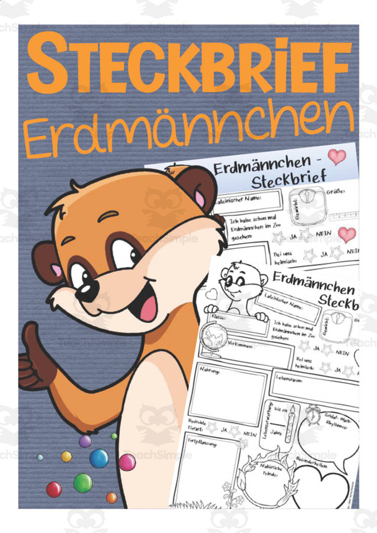 An educational teaching resource from Better Teaching Resources entitled German: Animal Characteristics Worksheet - Meerkat Printable downloadable at Teach Simple.