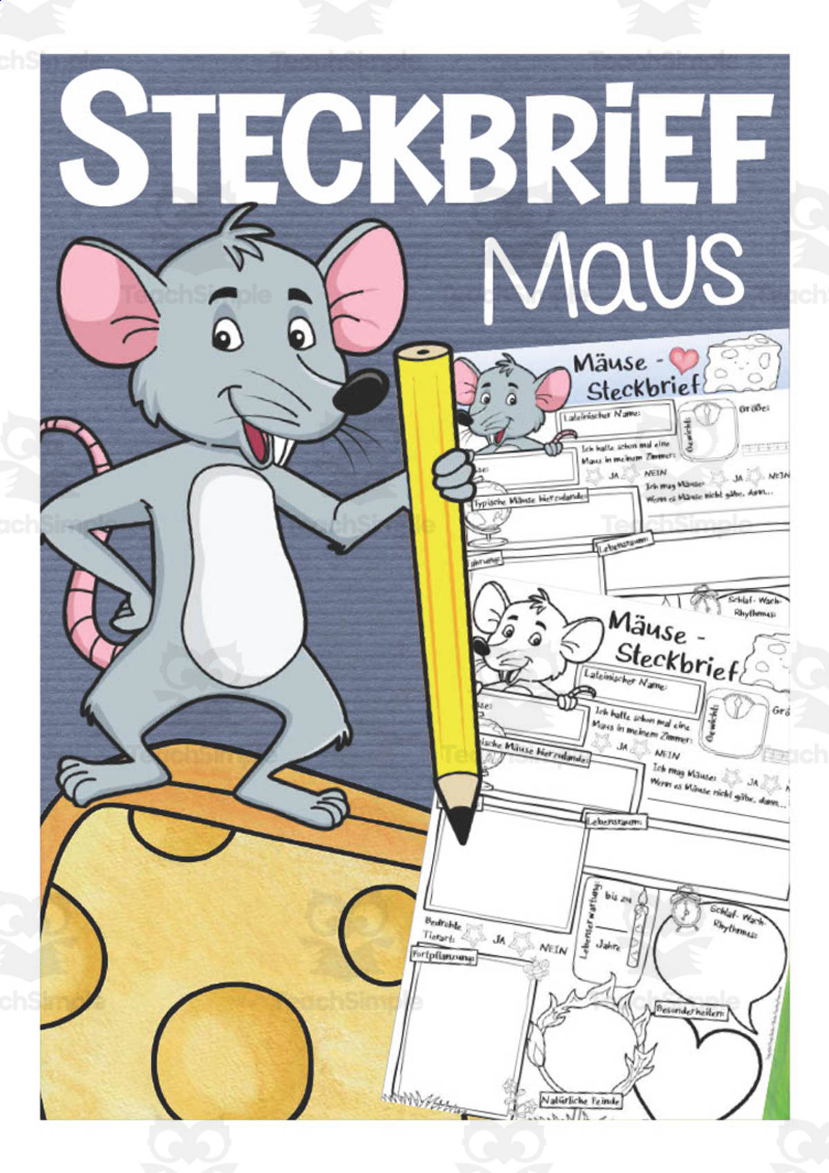An educational teaching resource from Better Teaching Resources entitled German: Animal Characteristics Worksheet - Mouse Printable downloadable at Teach Simple.