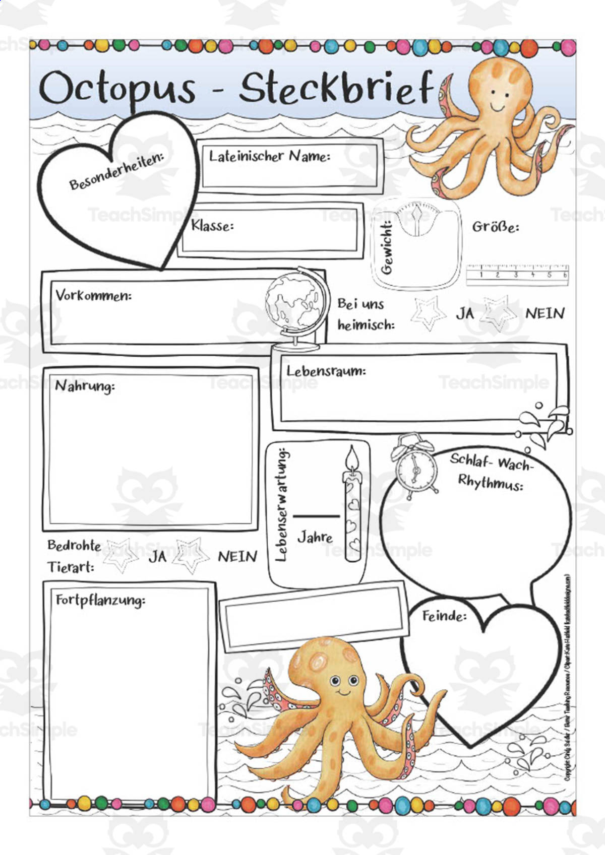 An educational teaching resource from Better Teaching Resources entitled German: Animal Characteristics Worksheet - Octopus Printable downloadable at Teach Simple.