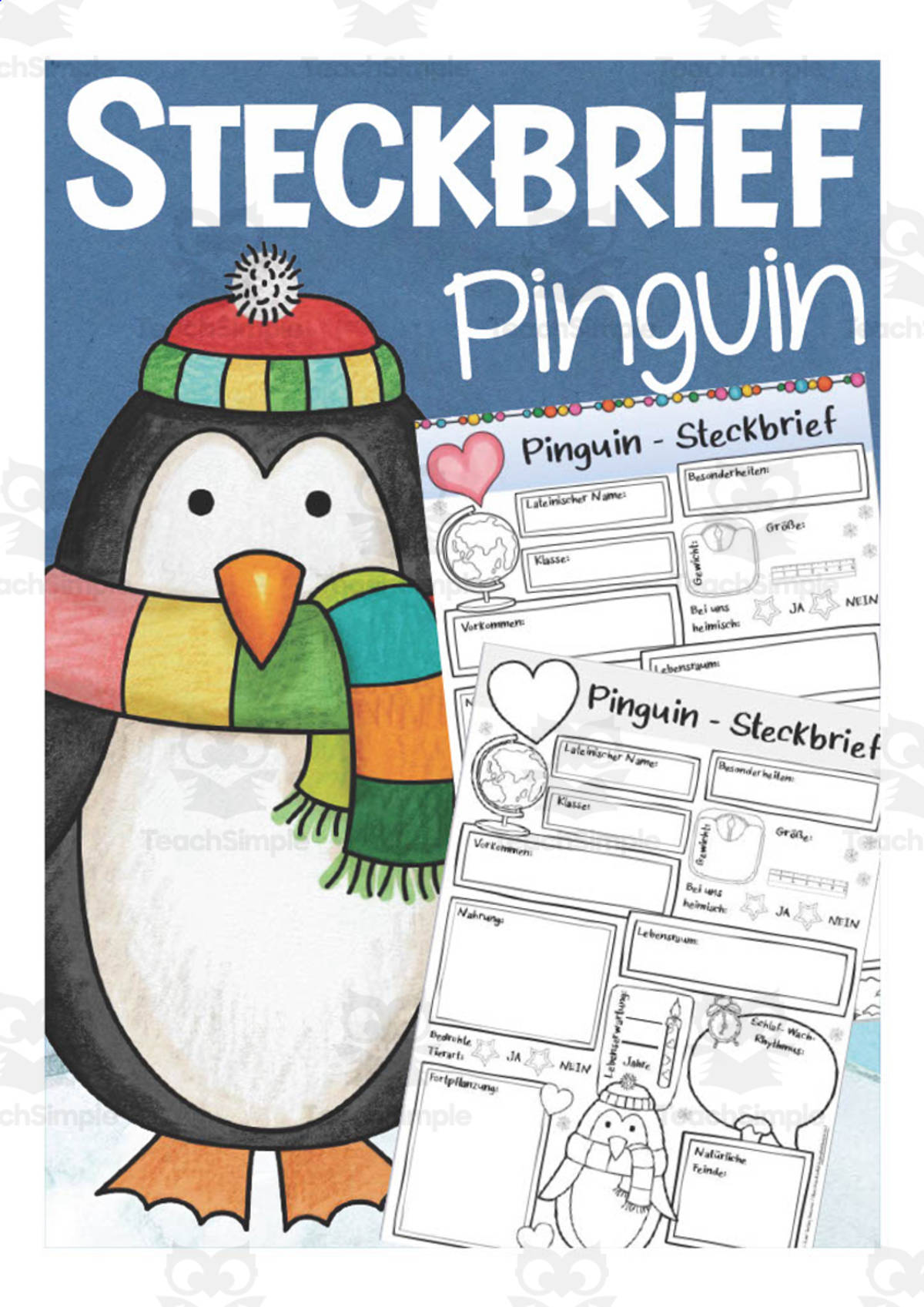 An educational teaching resource from Better Teaching Resources entitled German: Animal Characteristics Worksheet - Penguin Printable downloadable at Teach Simple.