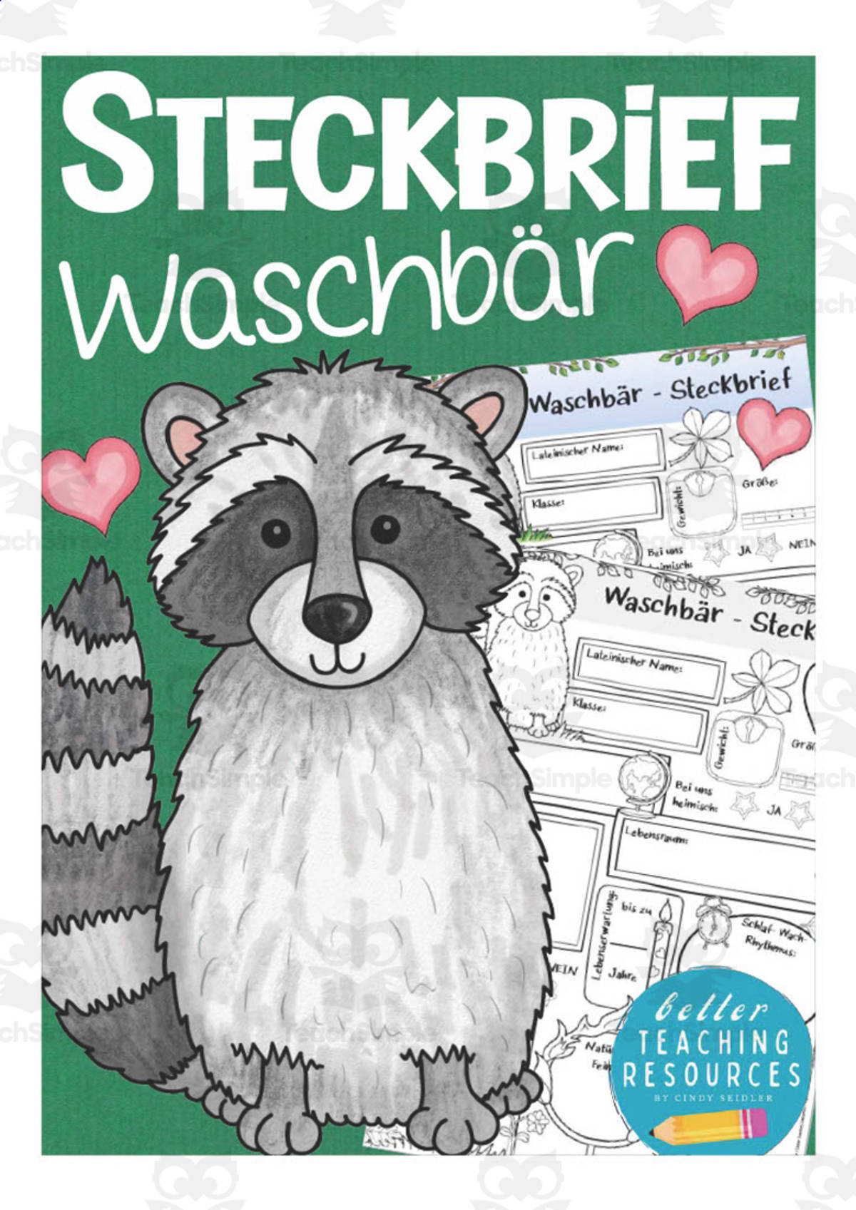 An educational teaching resource from Better Teaching Resources entitled German: Animal Characteristics Worksheet - Raccoon Printable downloadable at Teach Simple.