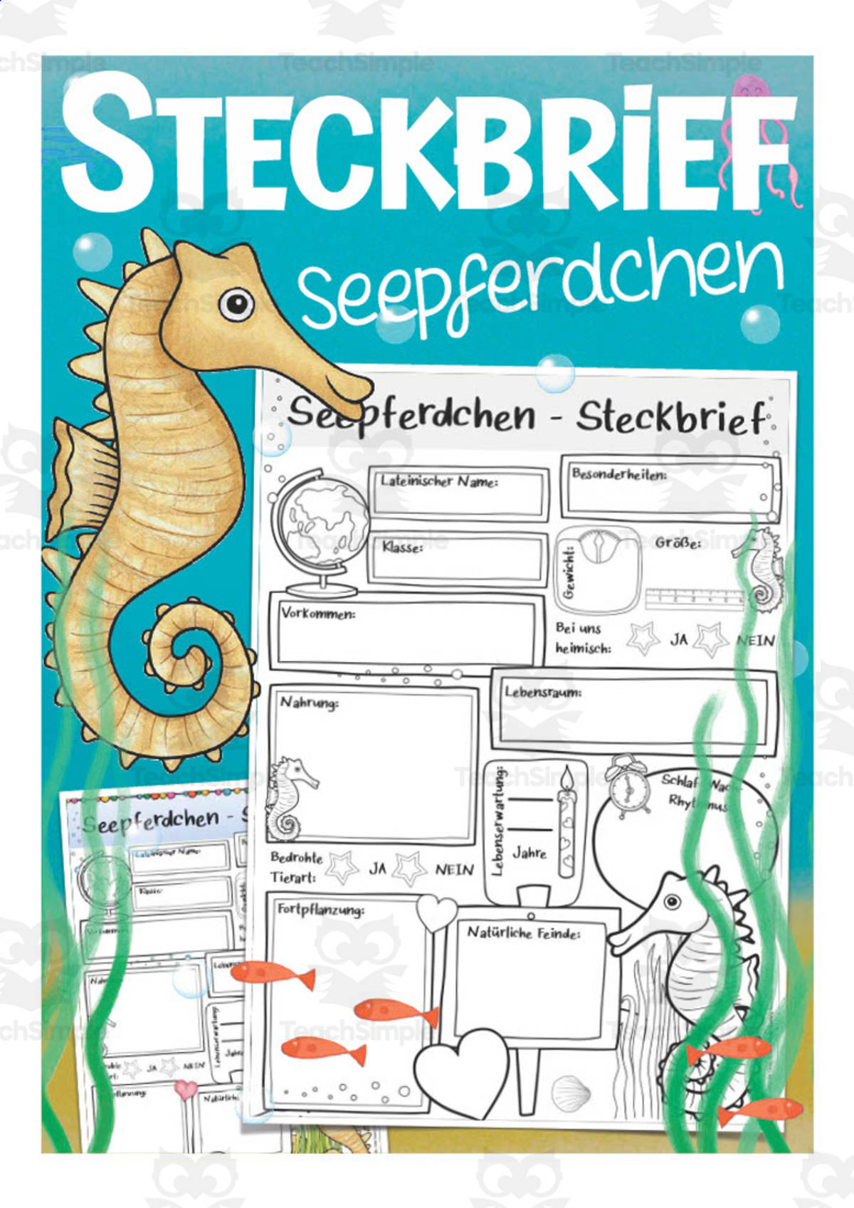 An educational teaching resource from Better Teaching Resources entitled German: Animal Characteristics Worksheet - Seahorse Printable downloadable at Teach Simple.