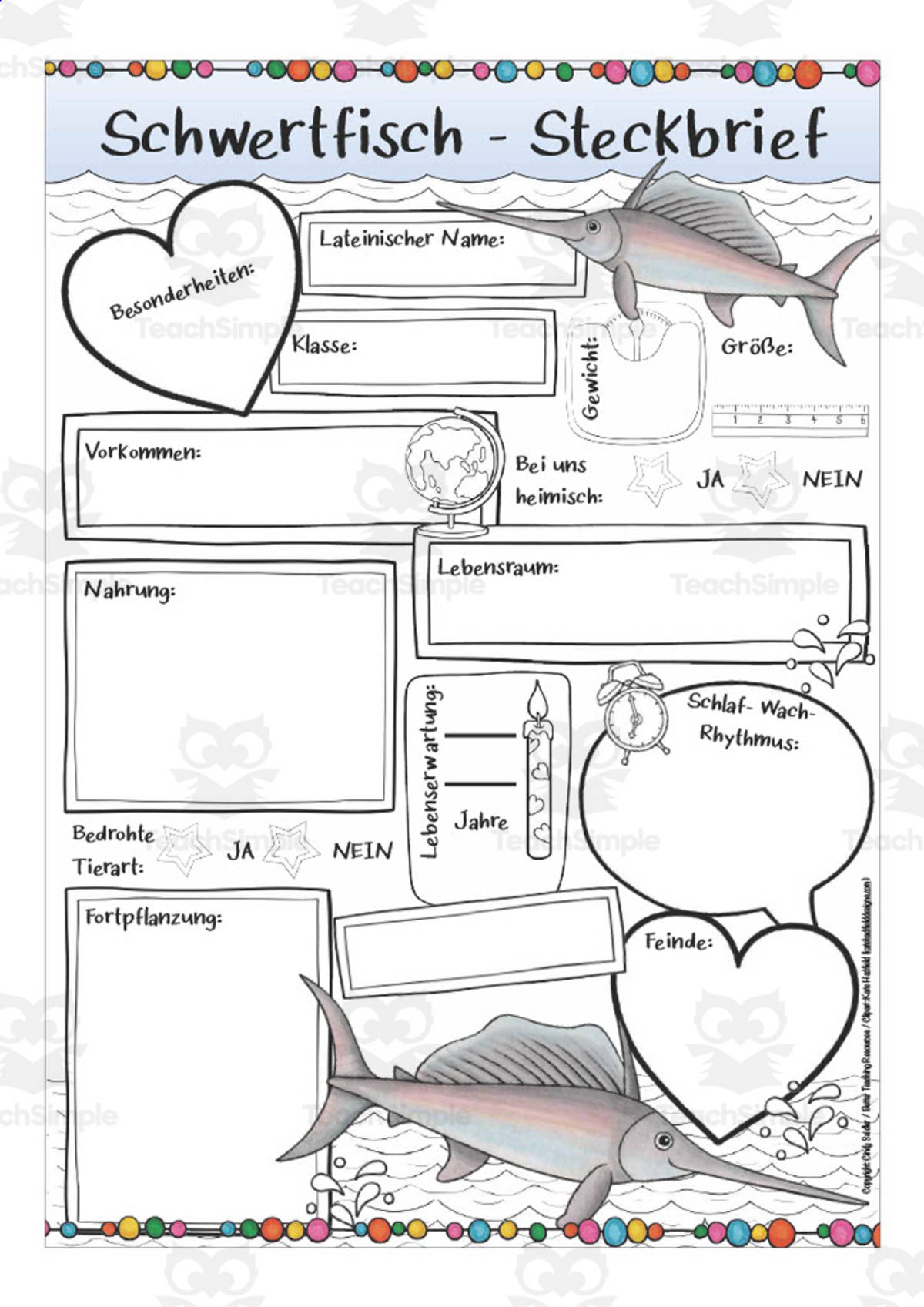 An educational teaching resource from Better Teaching Resources entitled German: Animal Characteristics Worksheet - Swordfish Printable downloadable at Teach Simple.