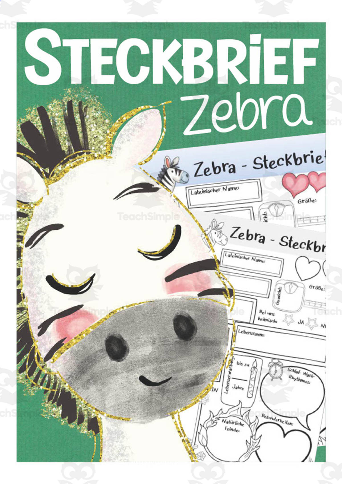 An educational teaching resource from Better Teaching Resources entitled German: Animal Characteristics Worksheet - Zebra Printable downloadable at Teach Simple.