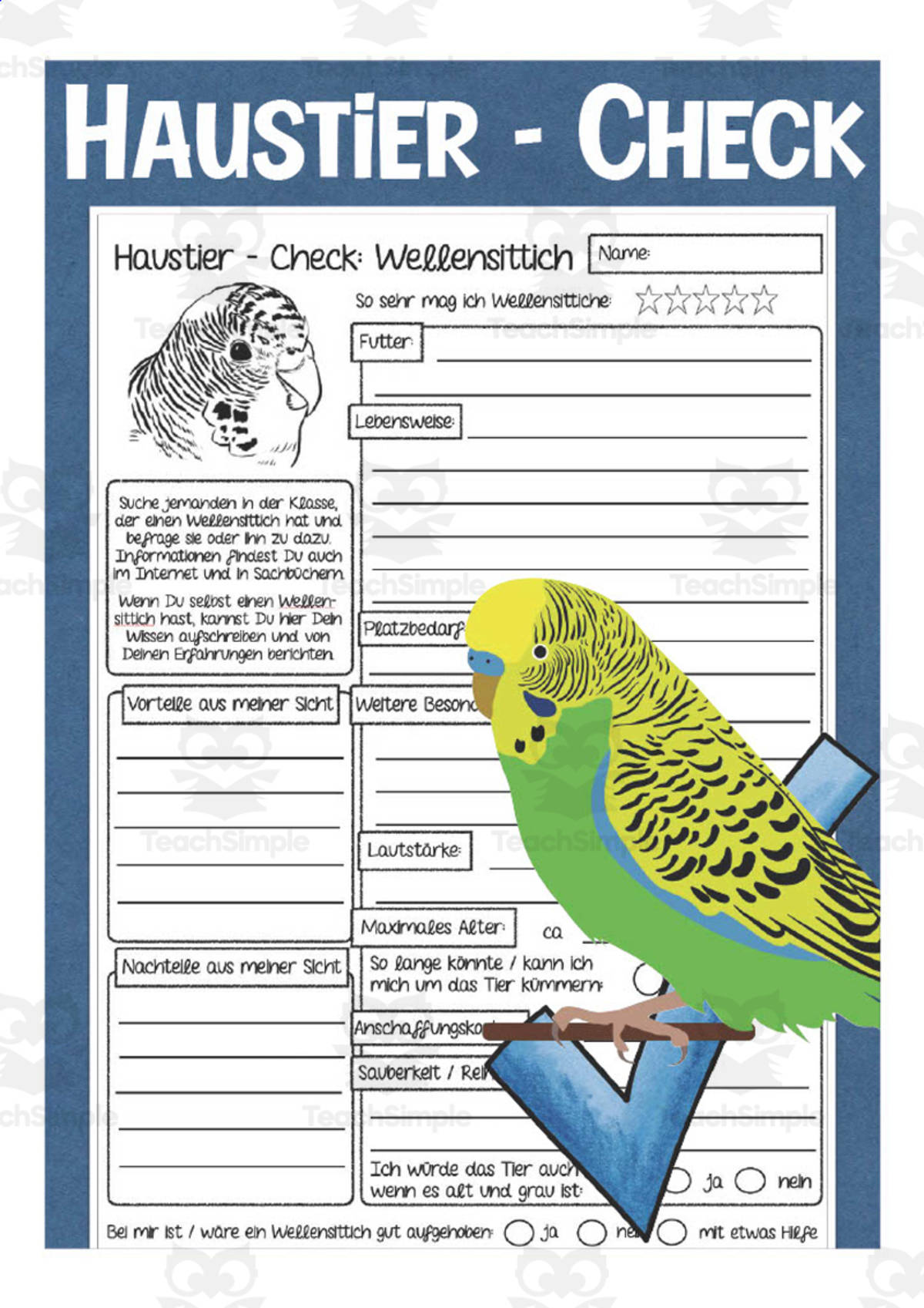 An educational teaching resource from Better Teaching Resources entitled German: Budgie Fact Sheet Packet | Animal Worksheets downloadable at Teach Simple.