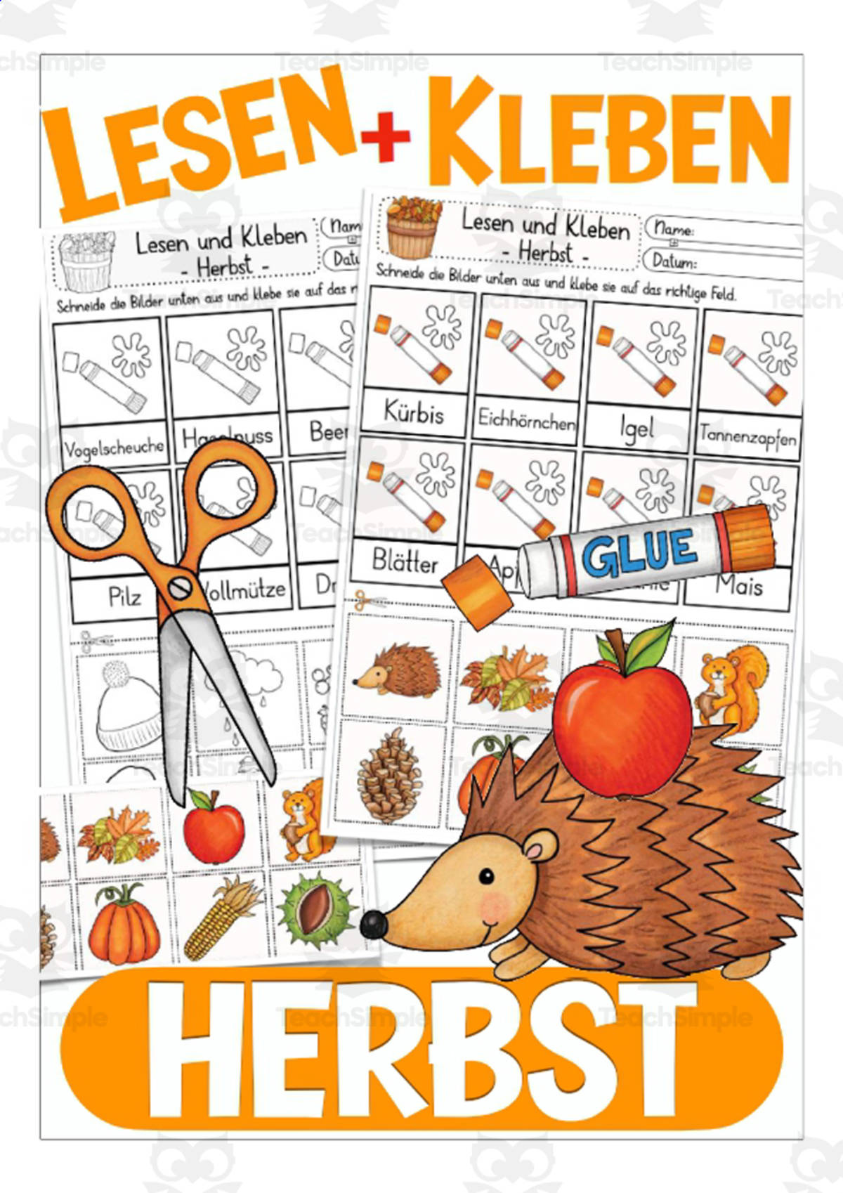 An educational teaching resource from Better Teaching Resources entitled German Cut & Glue Activity: Fall / Autumn downloadable at Teach Simple.