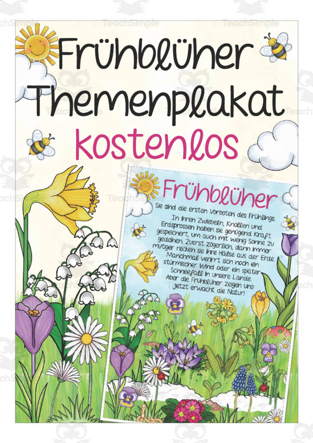 An educational teaching resource from Better Teaching Resources entitled German: Early Bloomers Poster downloadable at Teach Simple.