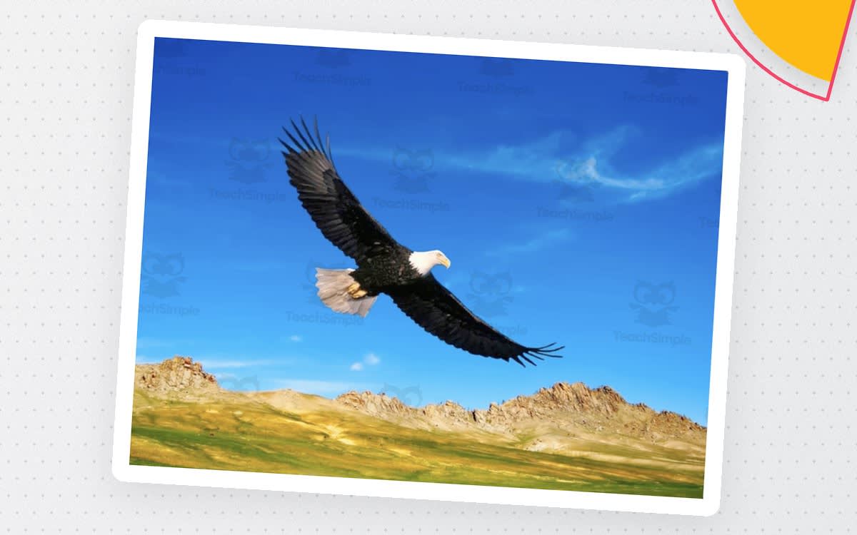 An educational teaching resource from Audio Memory entitled God Bless America Instrumental Song downloadable at Teach Simple.