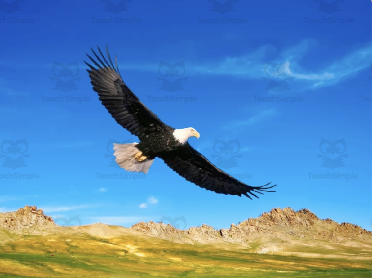 An educational teaching resource from Audio Memory entitled God Bless America Instrumental Song downloadable at Teach Simple.