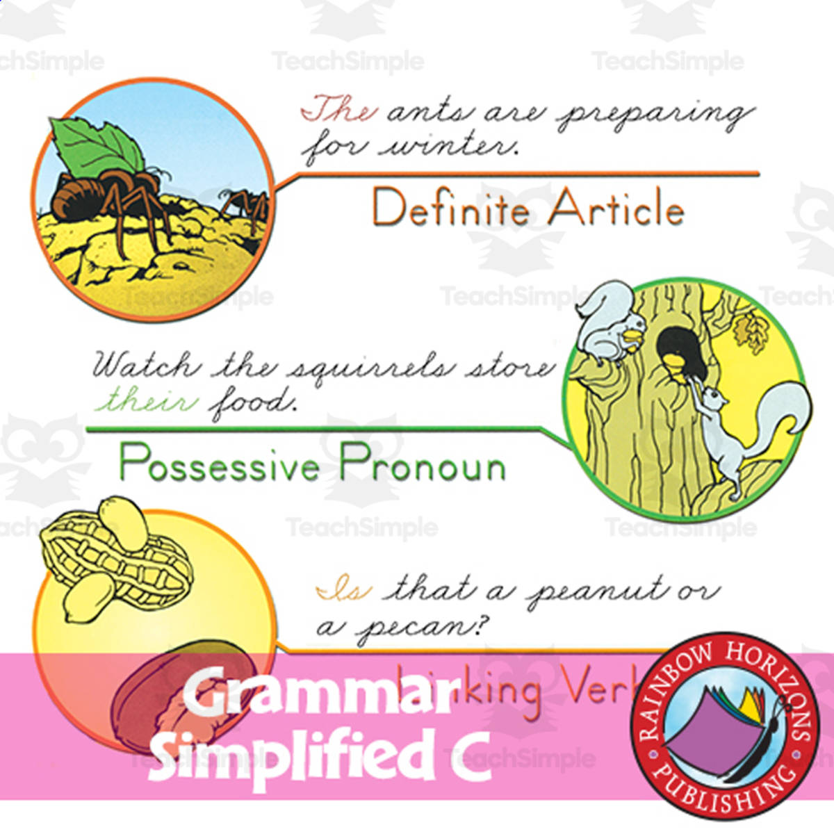 An educational teaching resource from Classroom Complete Press entitled Grammar Simplified C - Guided Practice downloadable at Teach Simple.