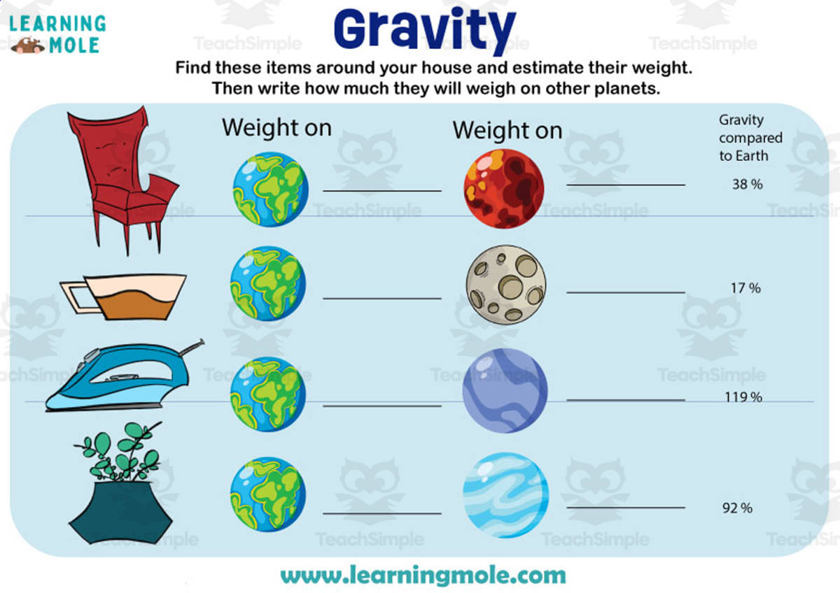 An educational teaching resource from Educational Voice entitled Gravity Activity downloadable at Teach Simple.