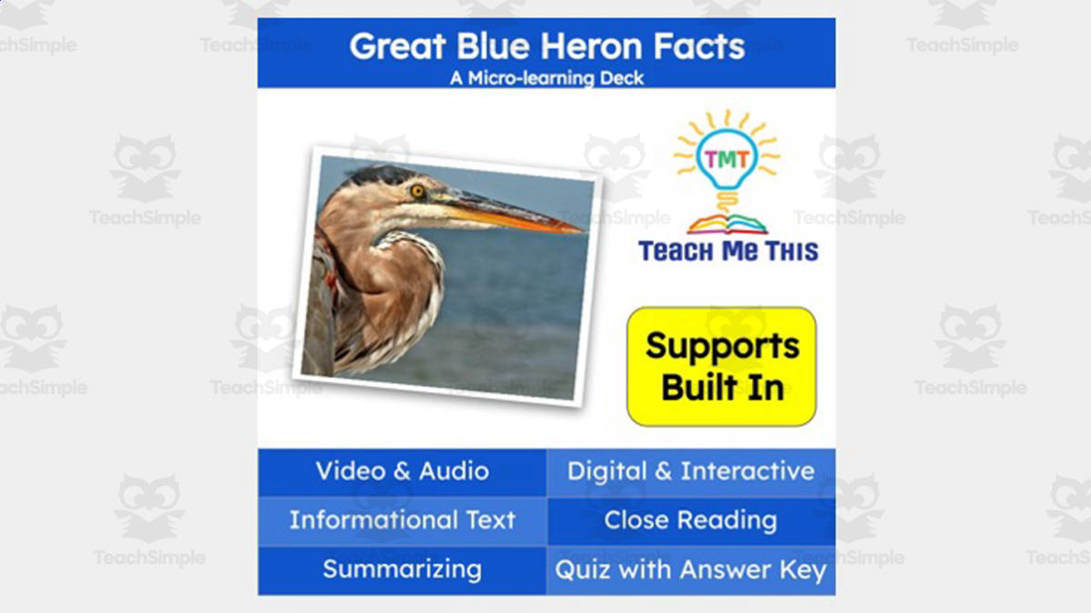 An educational teaching resource from Teach Me This entitled Great Blue Heron | Interactive Science Lesson | Micro-Learning Deck downloadable at Teach Simple.
