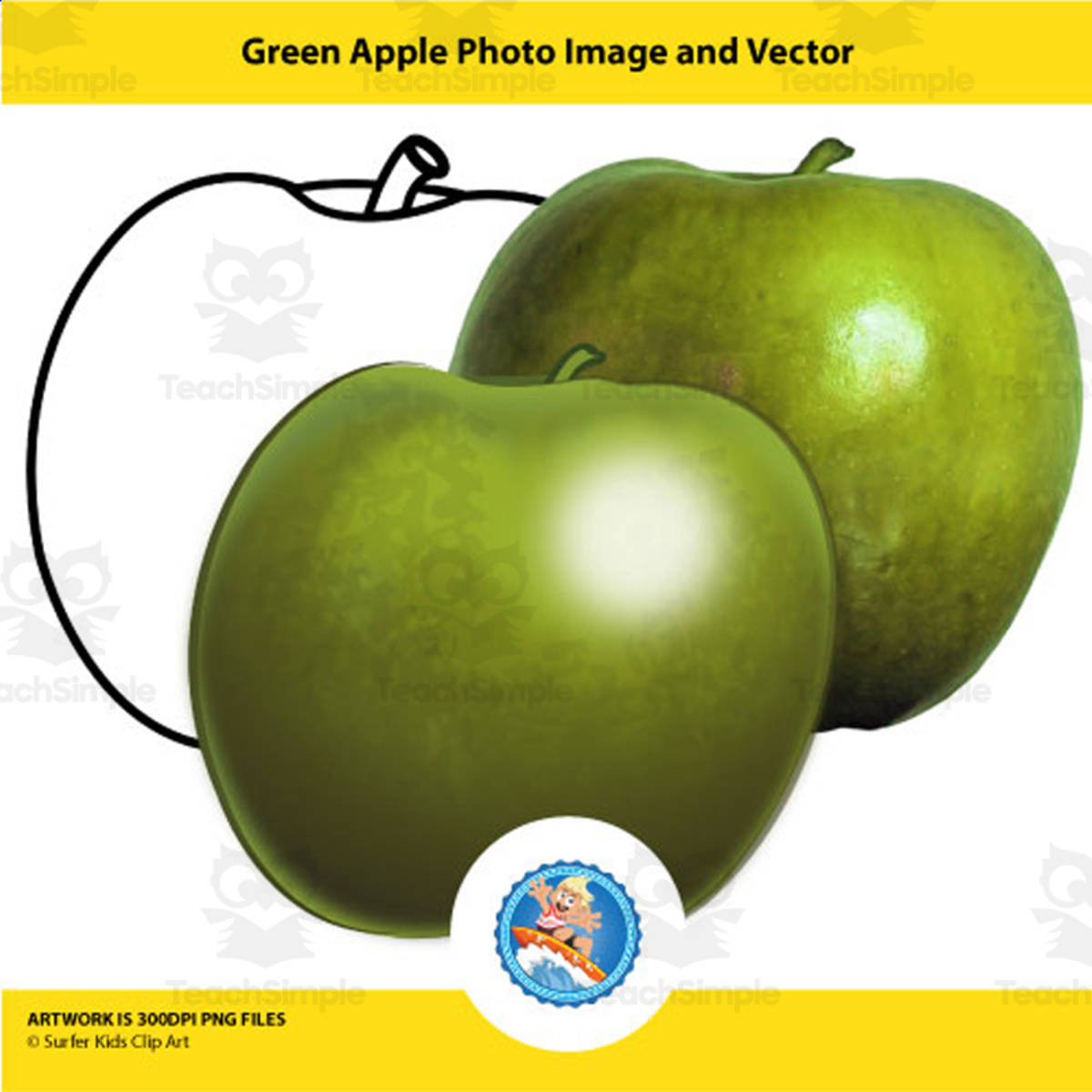 An educational teaching resource from Surfer Kids Clip Art entitled Green Apple Photo Image and Vector downloadable at Teach Simple.
